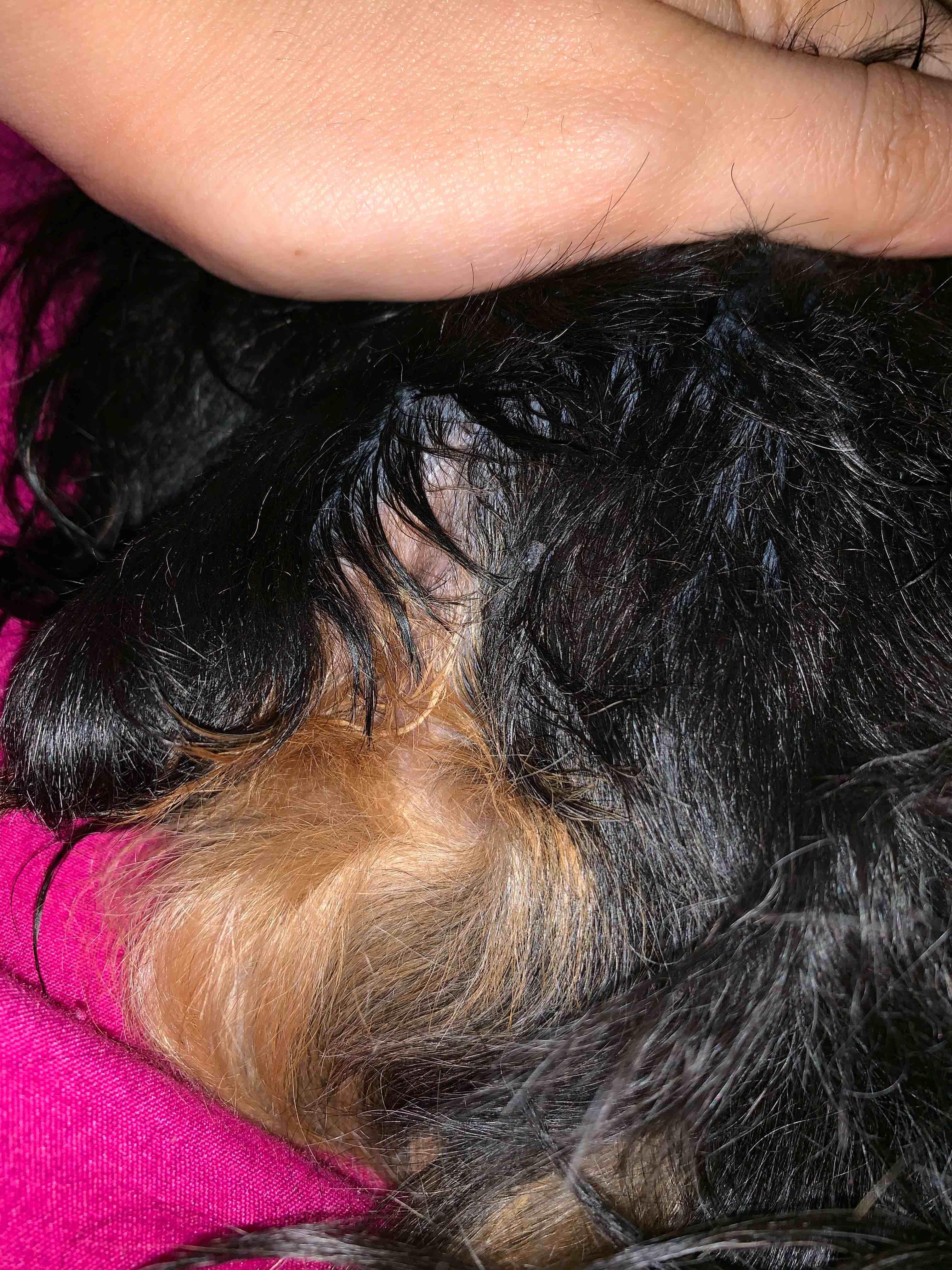 Question details sensitive content