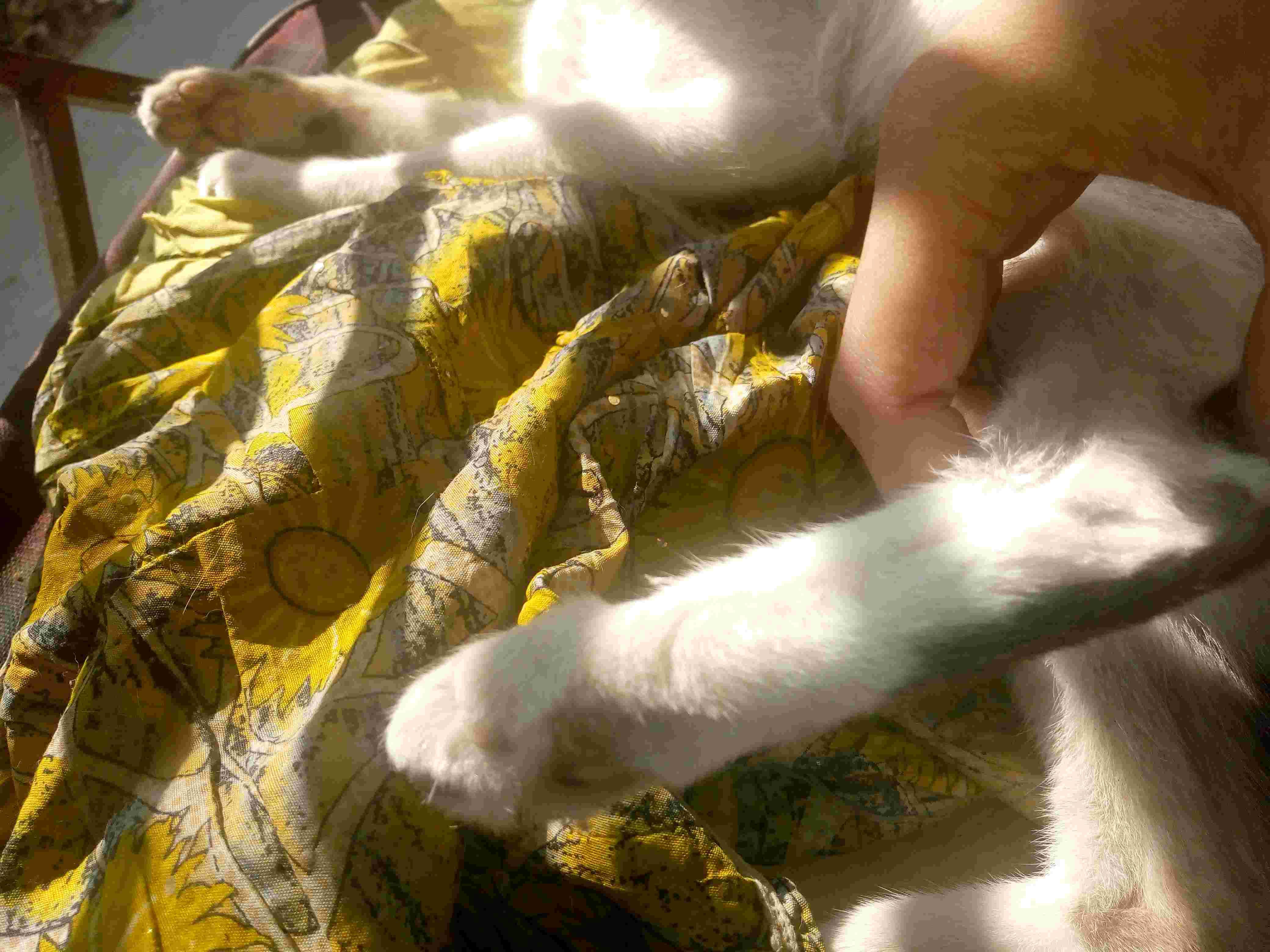 Question details sensitive content