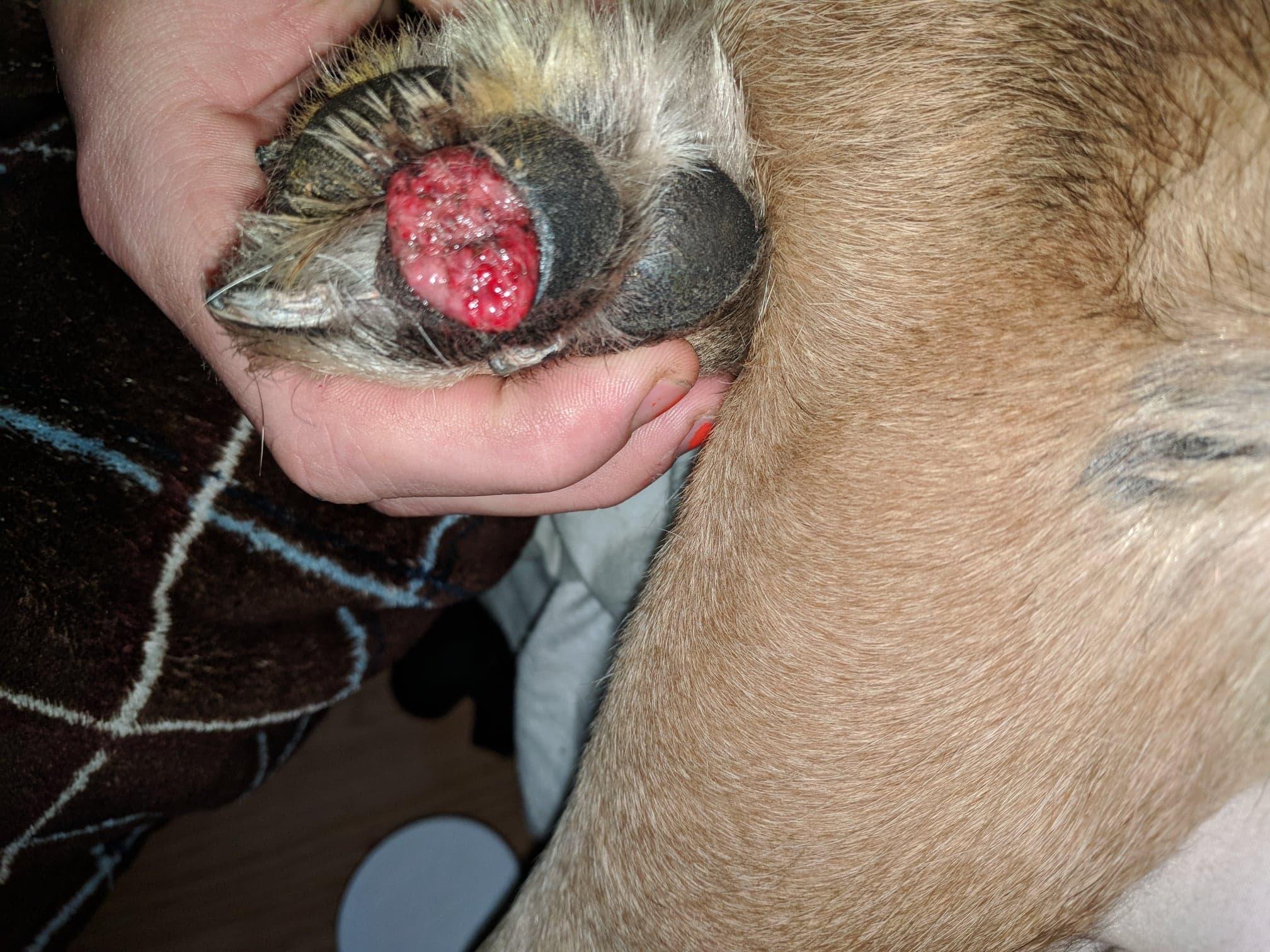 Question details sensitive content