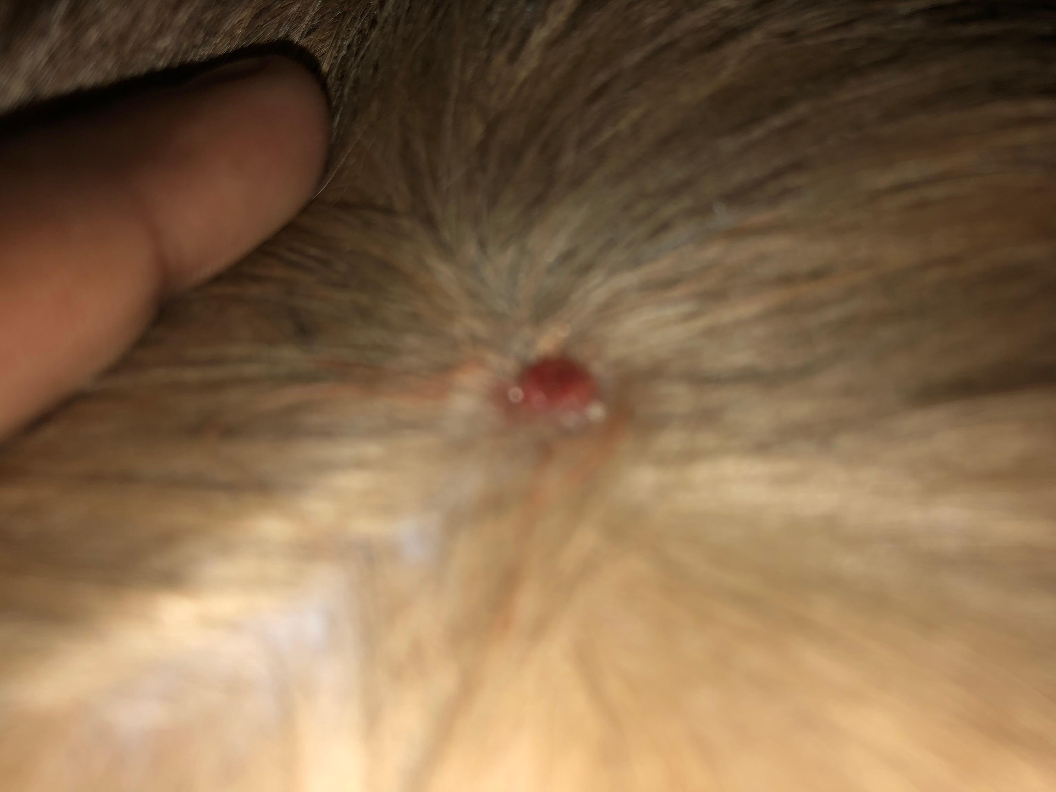 Question details sensitive content