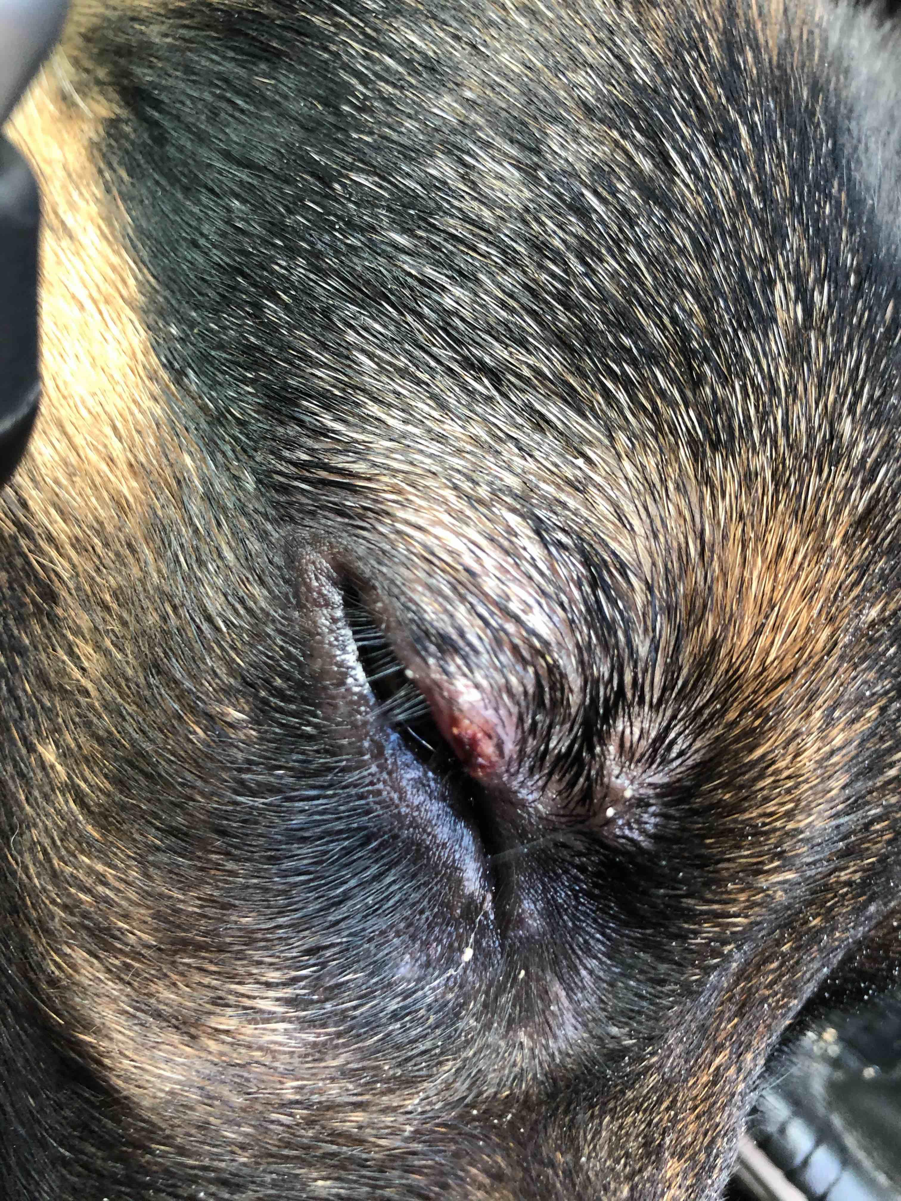 Question details sensitive content