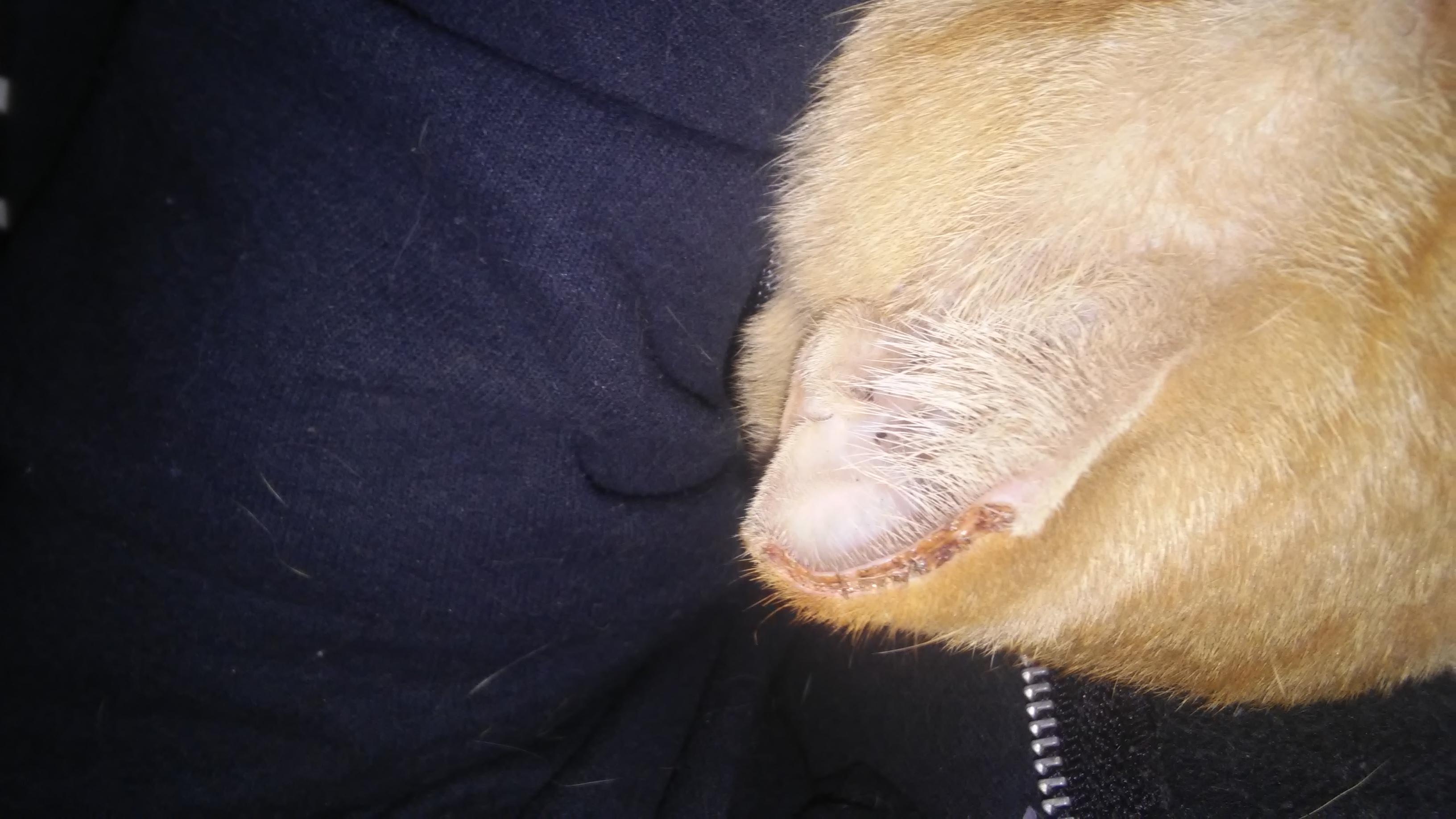 Question details sensitive content