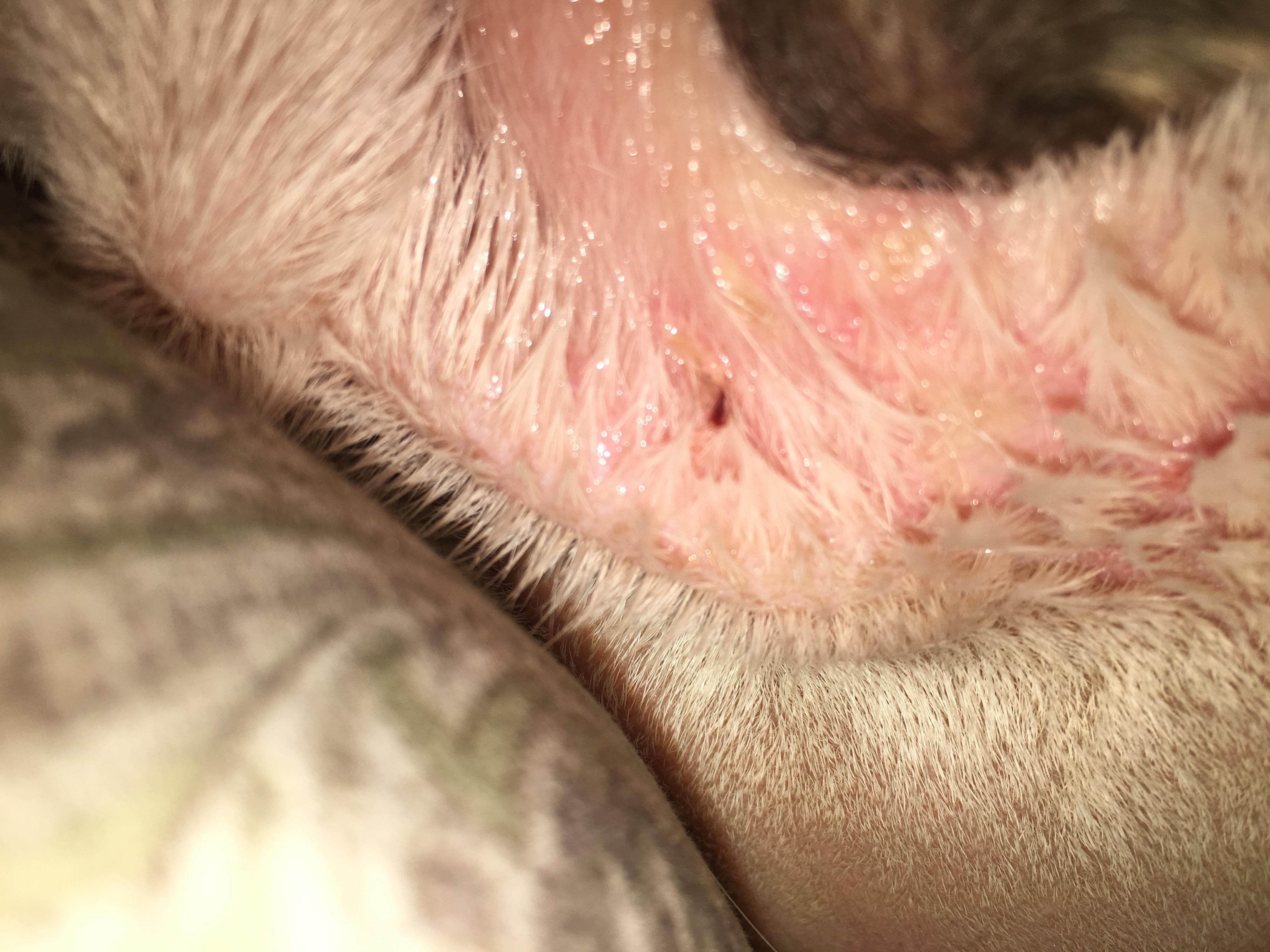 Question details sensitive content