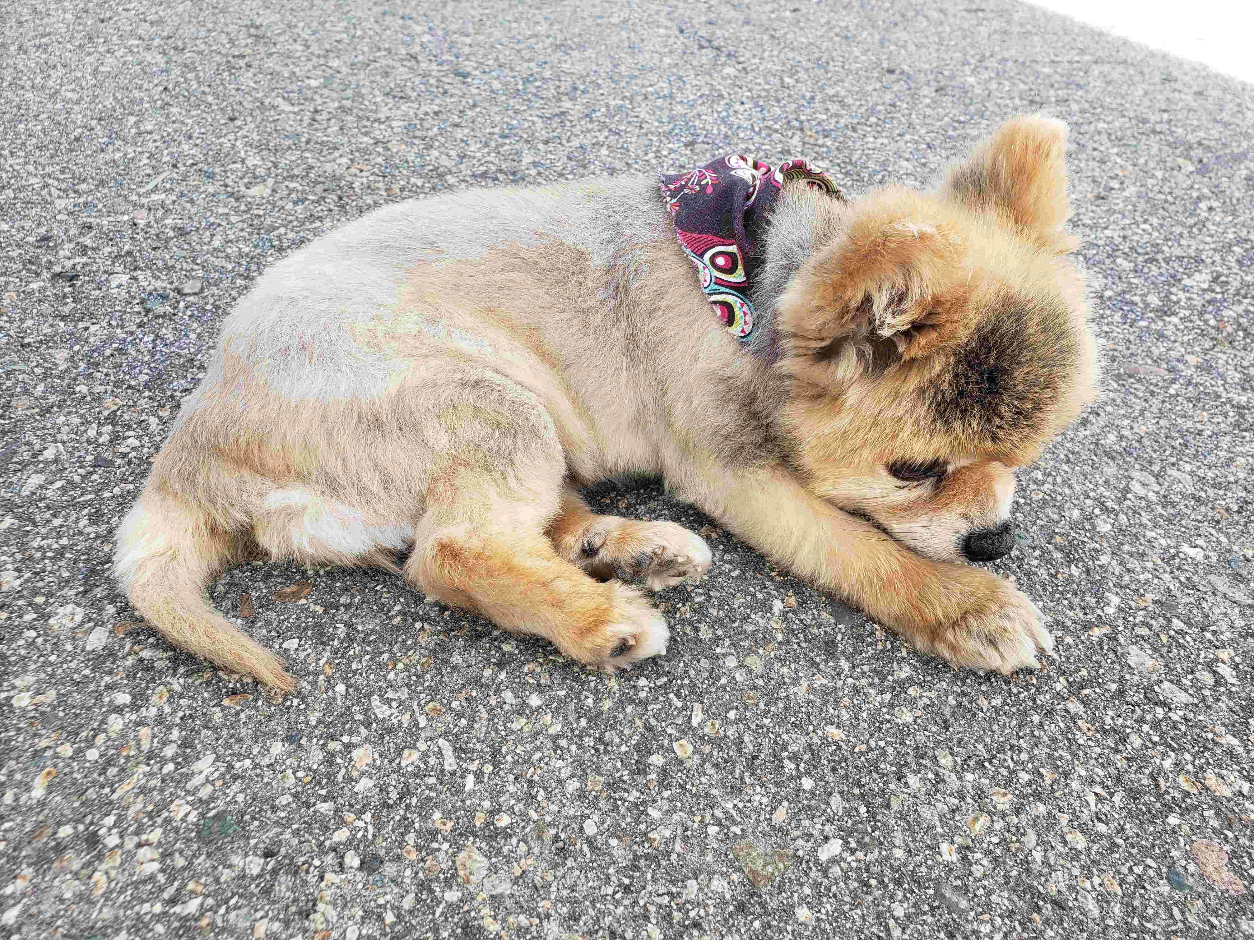 Question details sensitive content