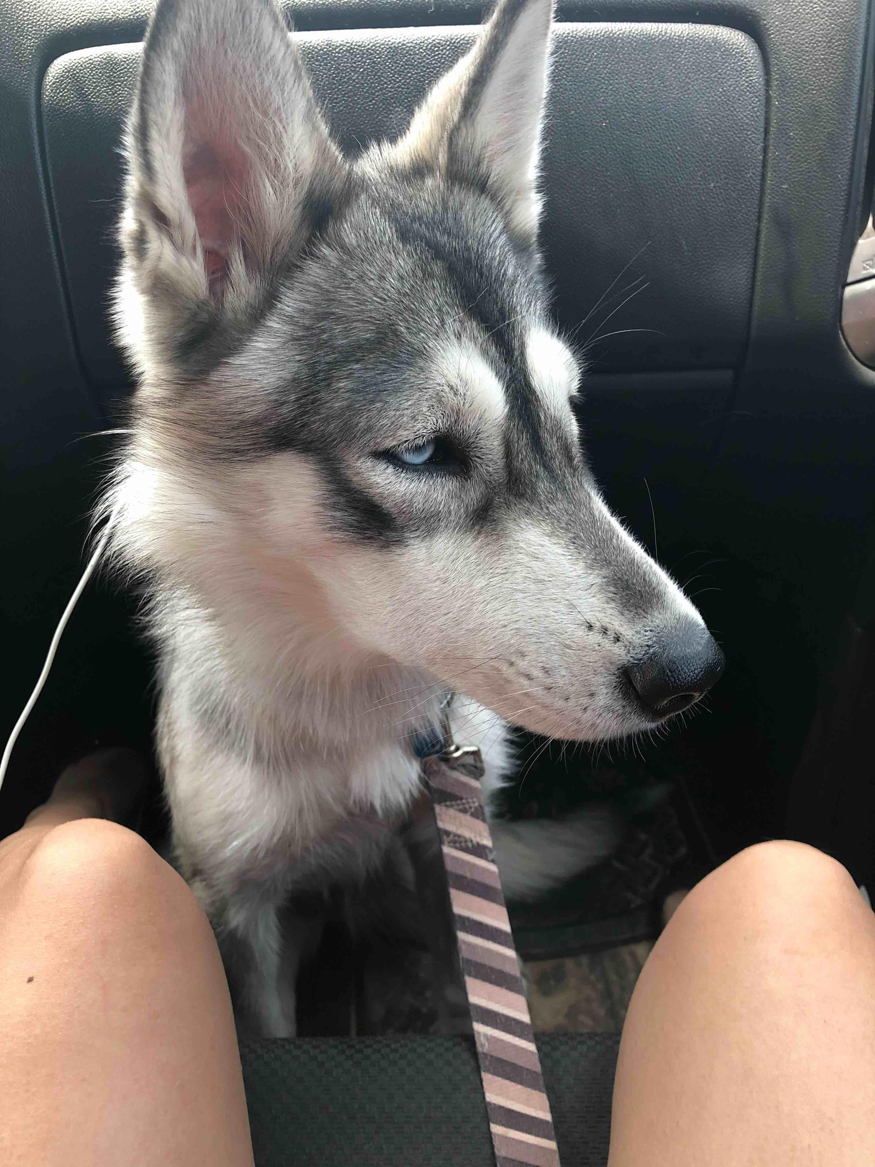 Question details sensitive content