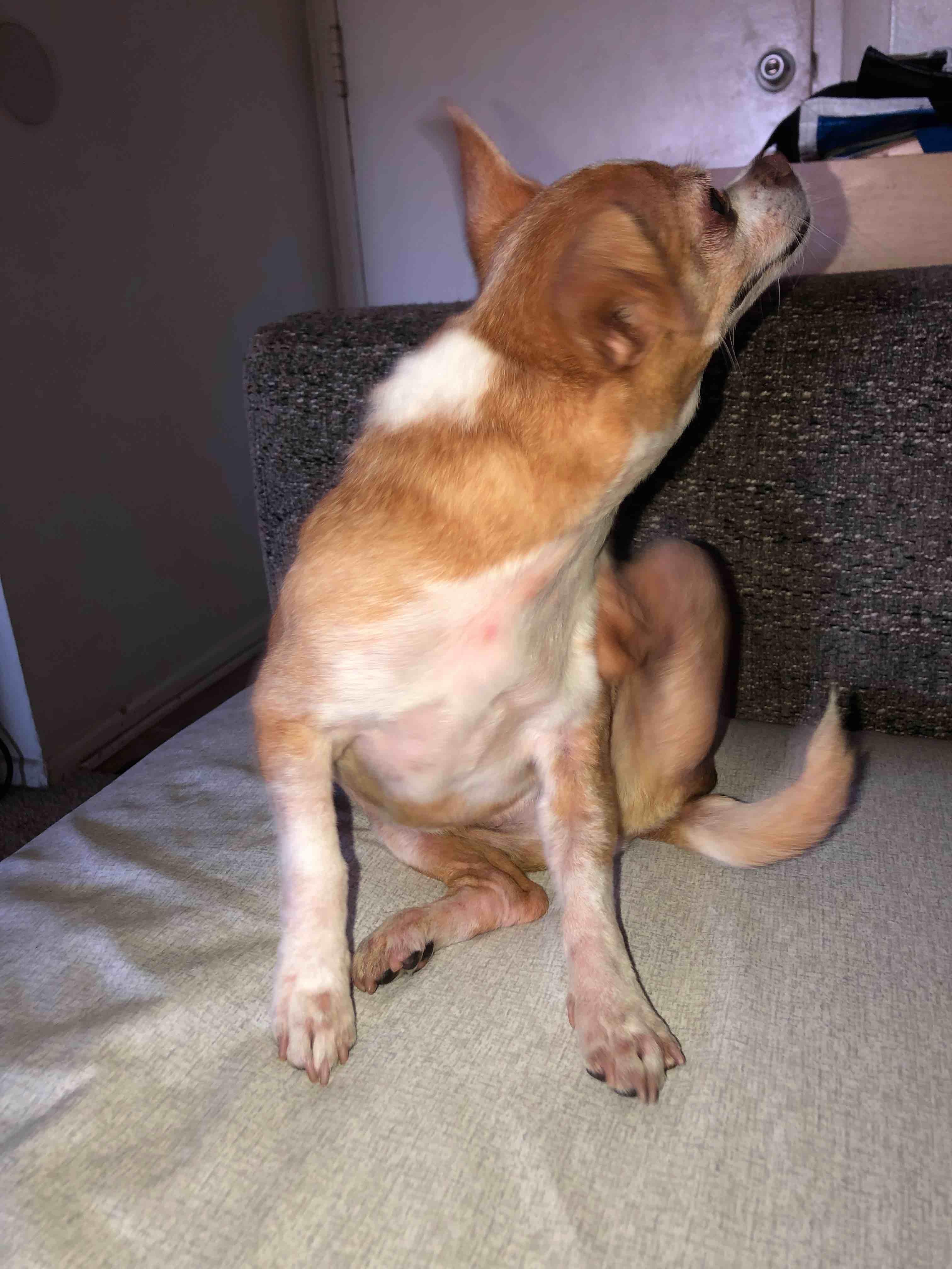 Question details sensitive content