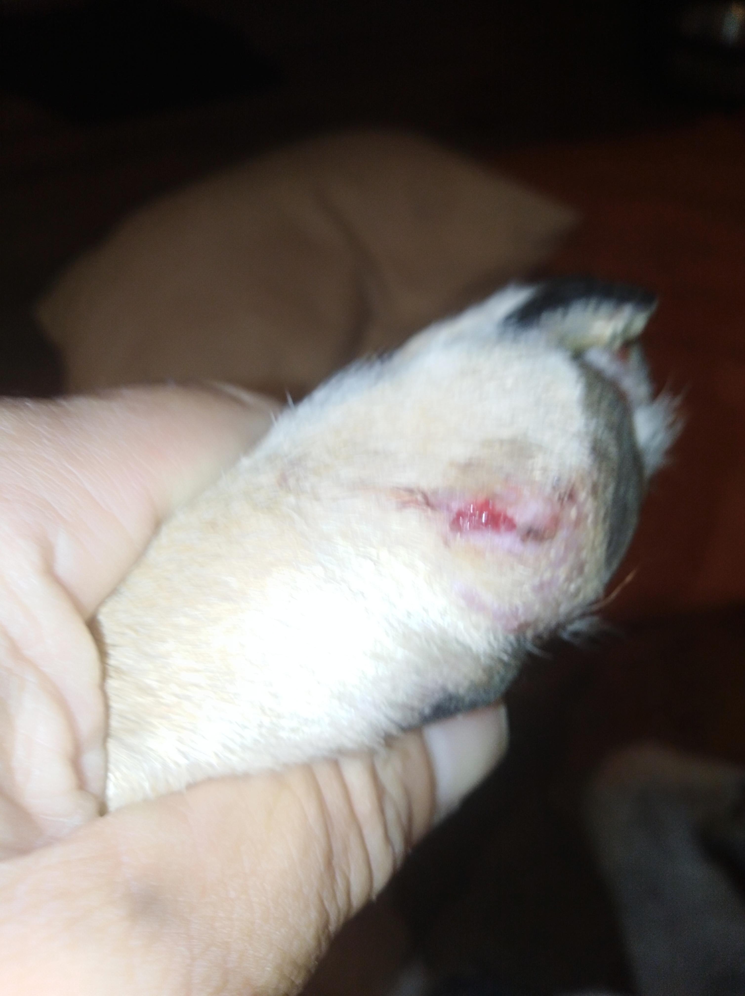 Question details sensitive content