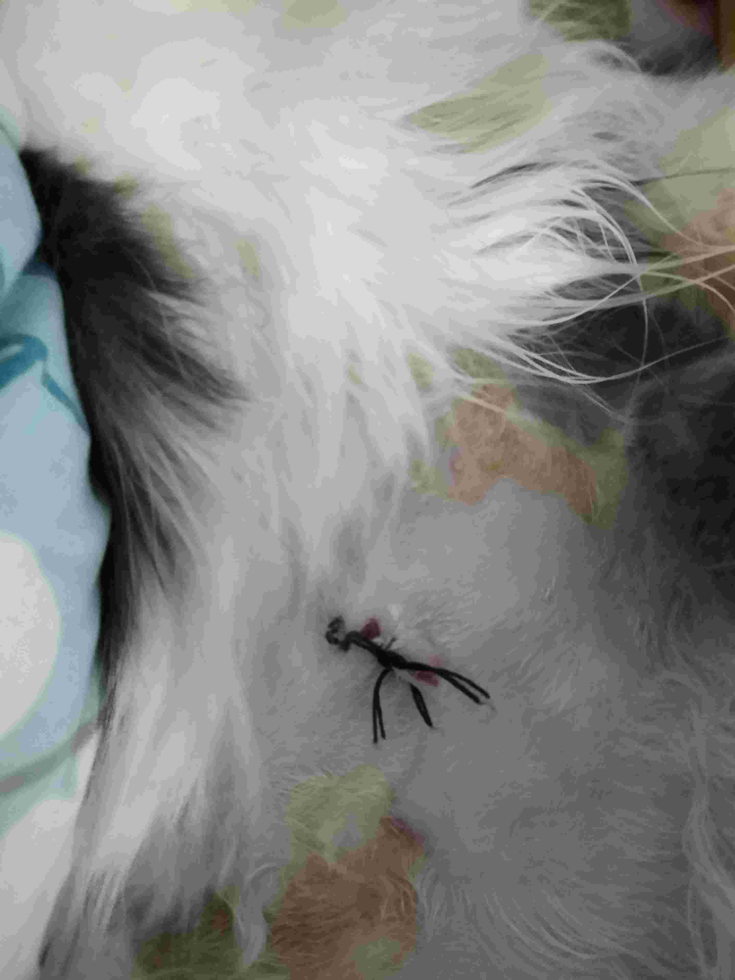 Question details sensitive content