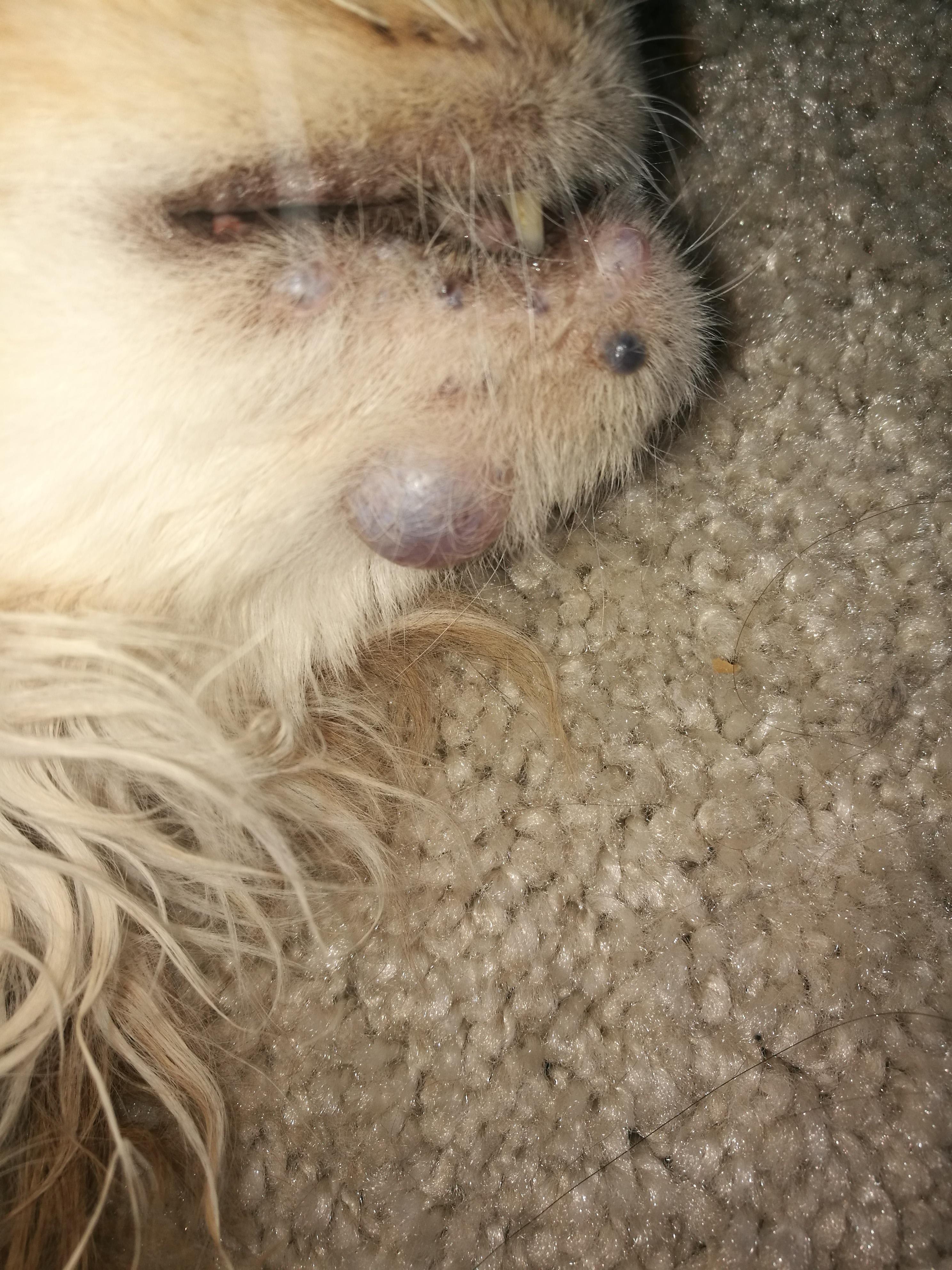 Question details sensitive content