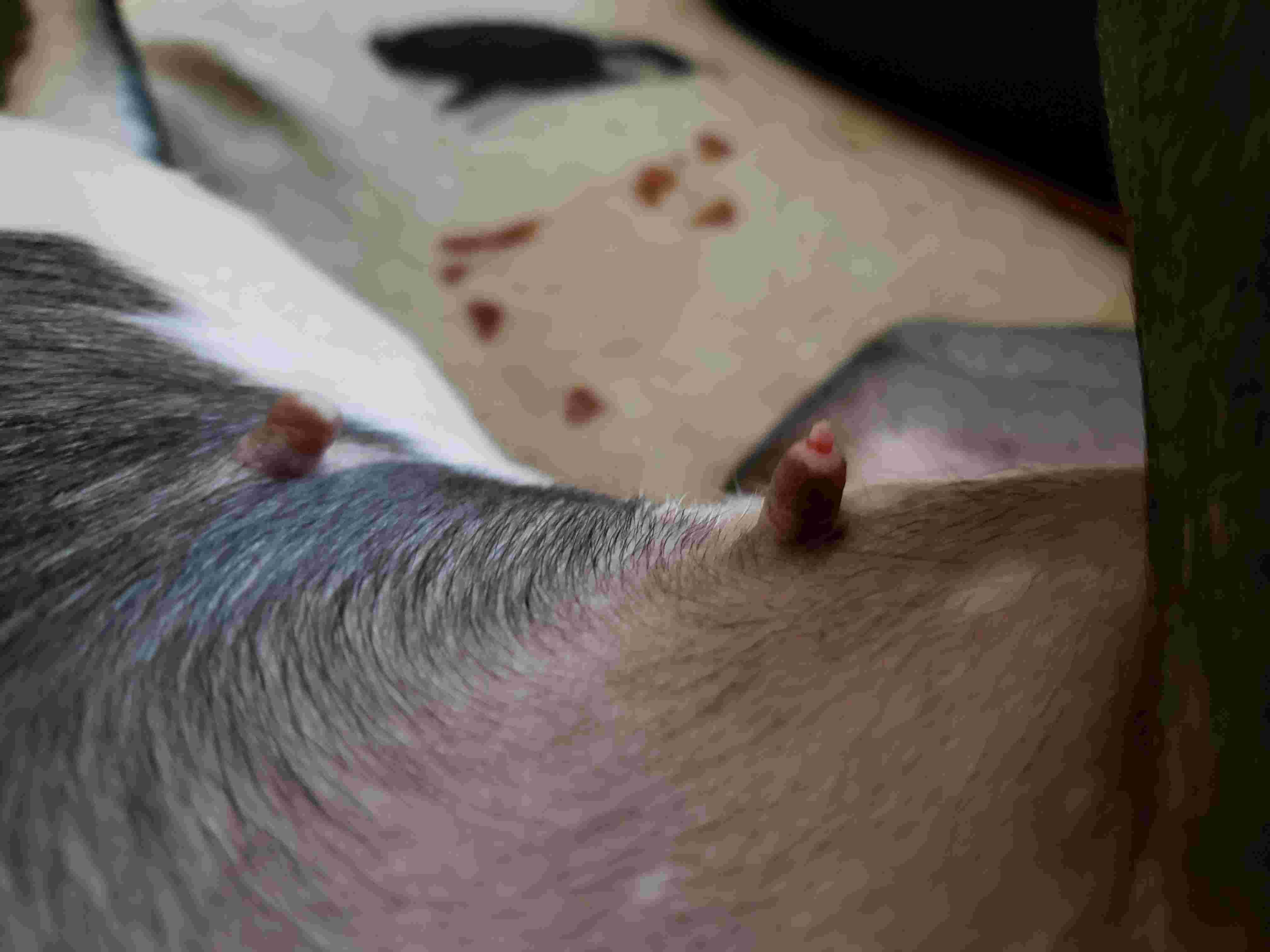 Question details sensitive content