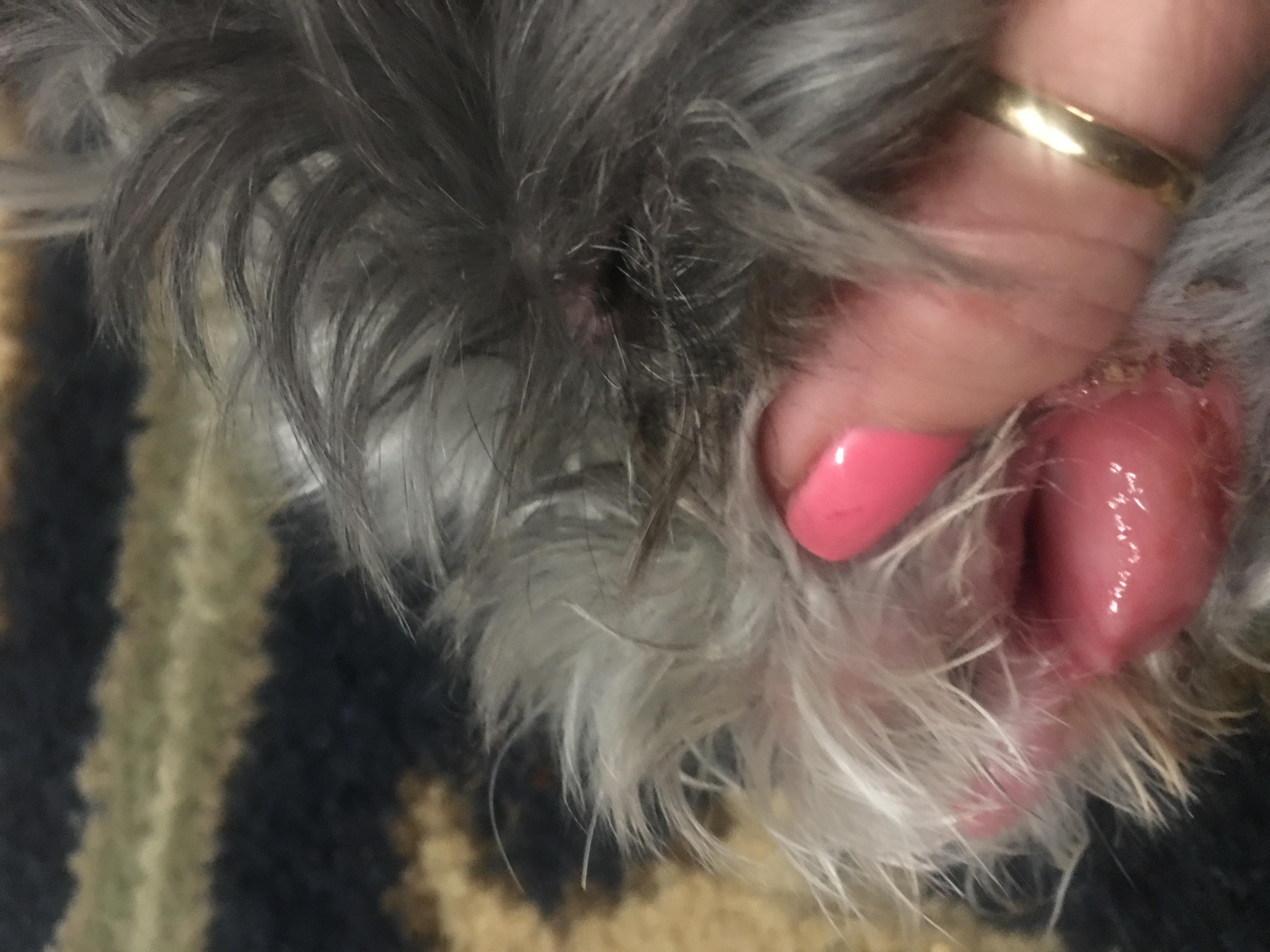 Question details sensitive content