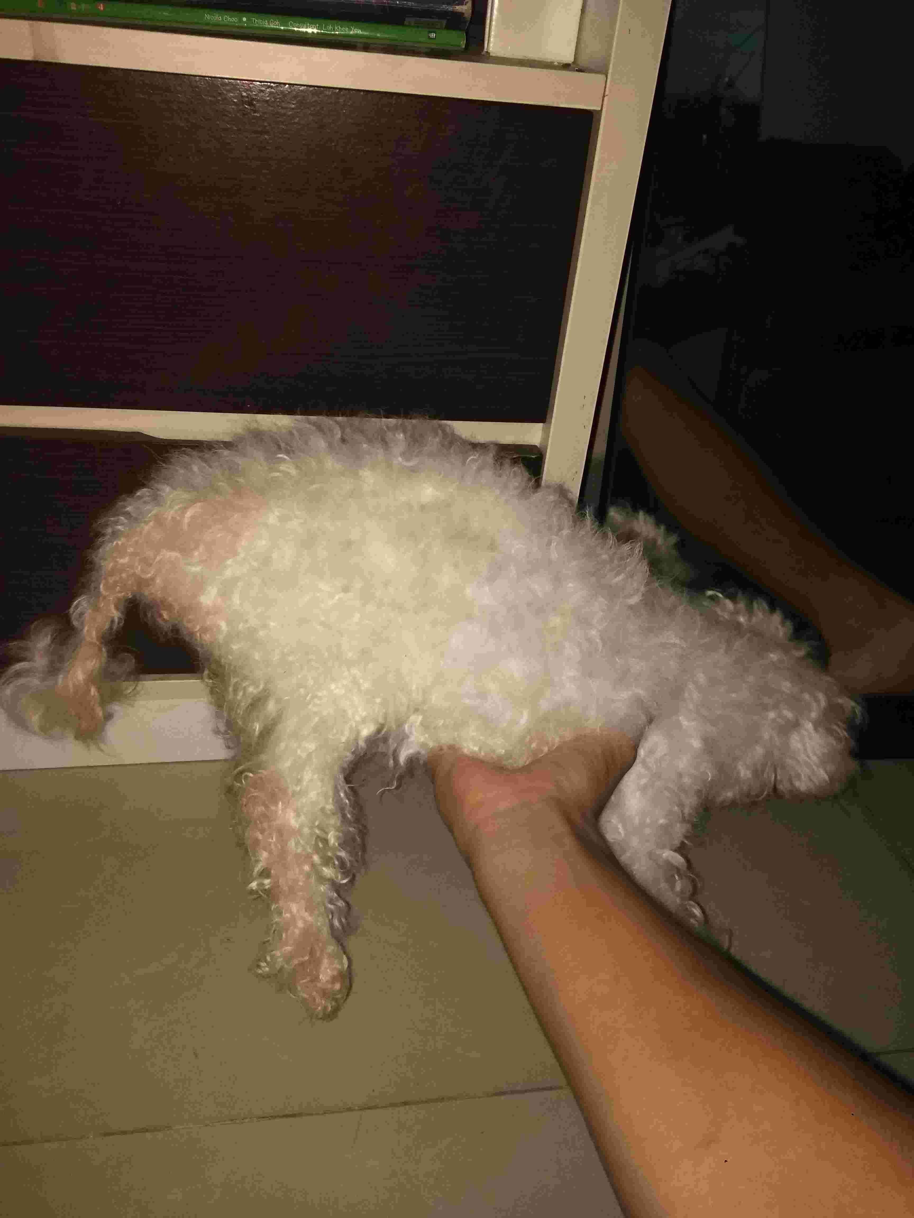 Question details sensitive content