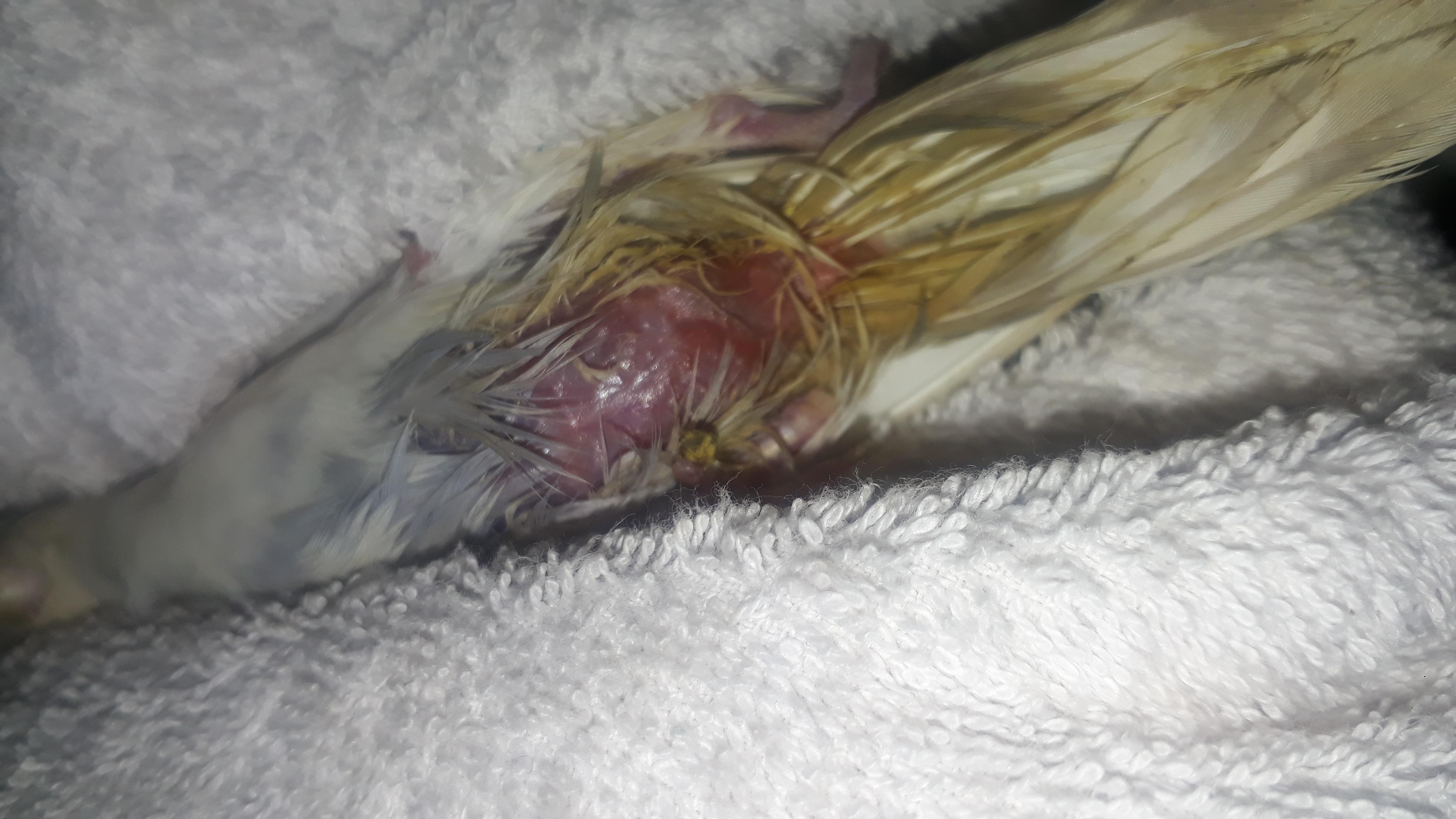 Question details sensitive content