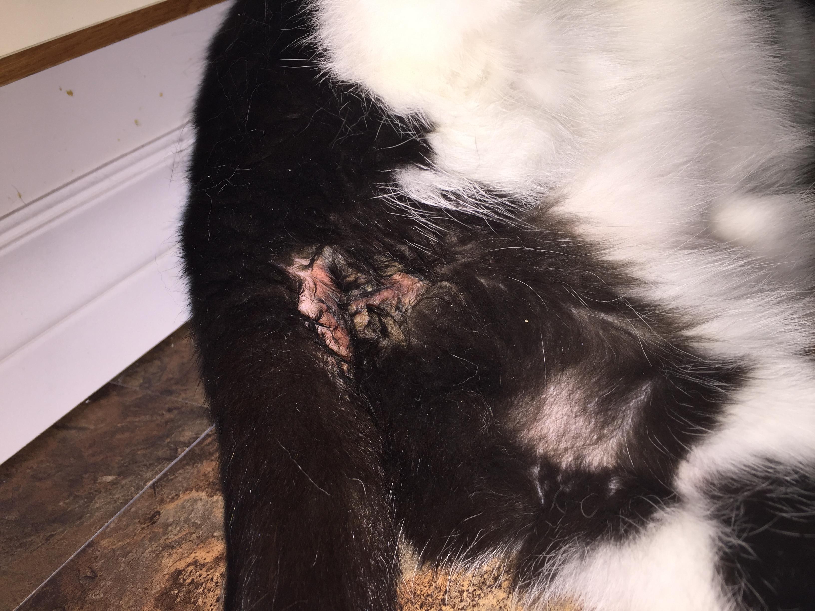 Question details sensitive content