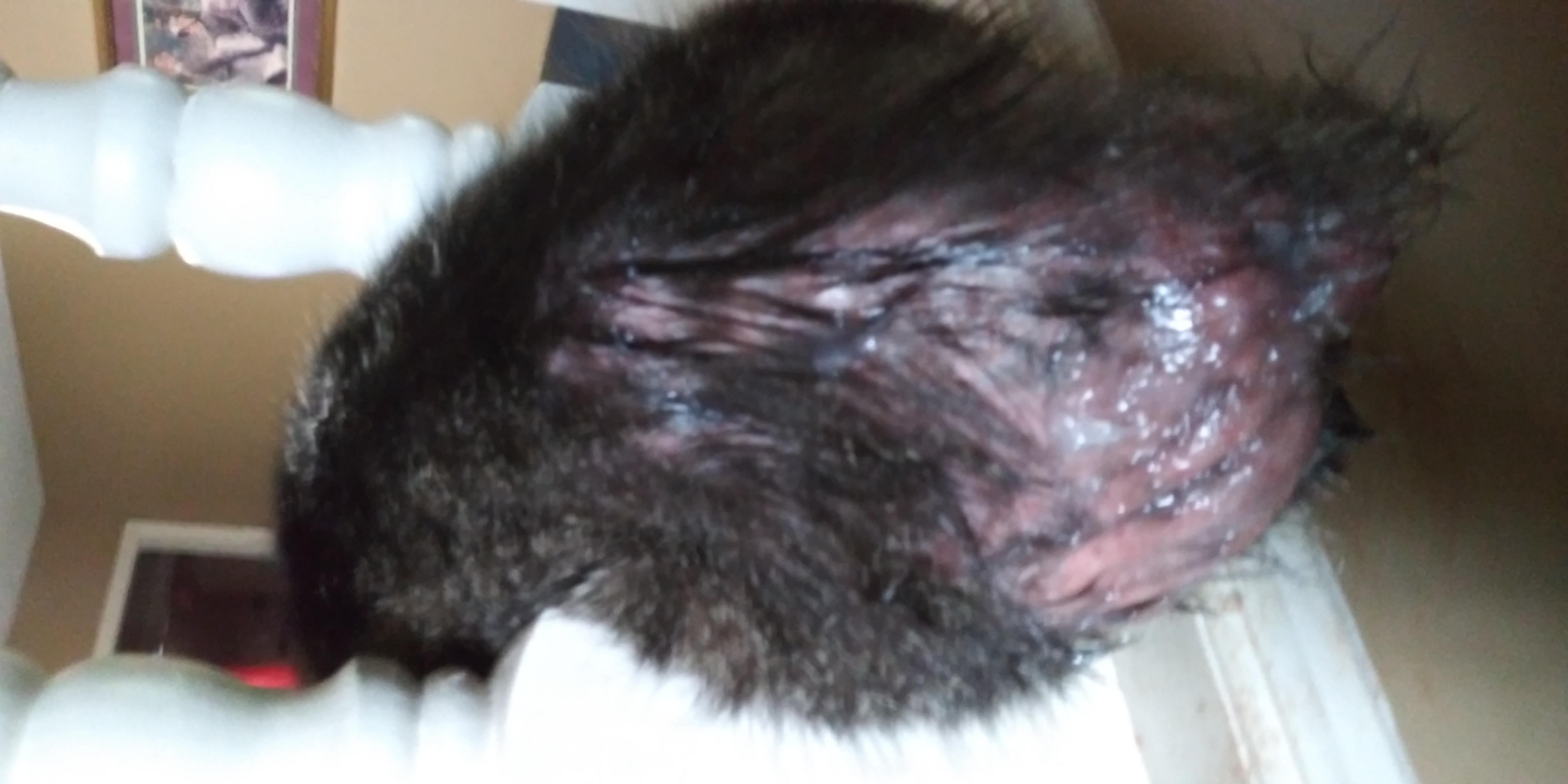 Question details sensitive content