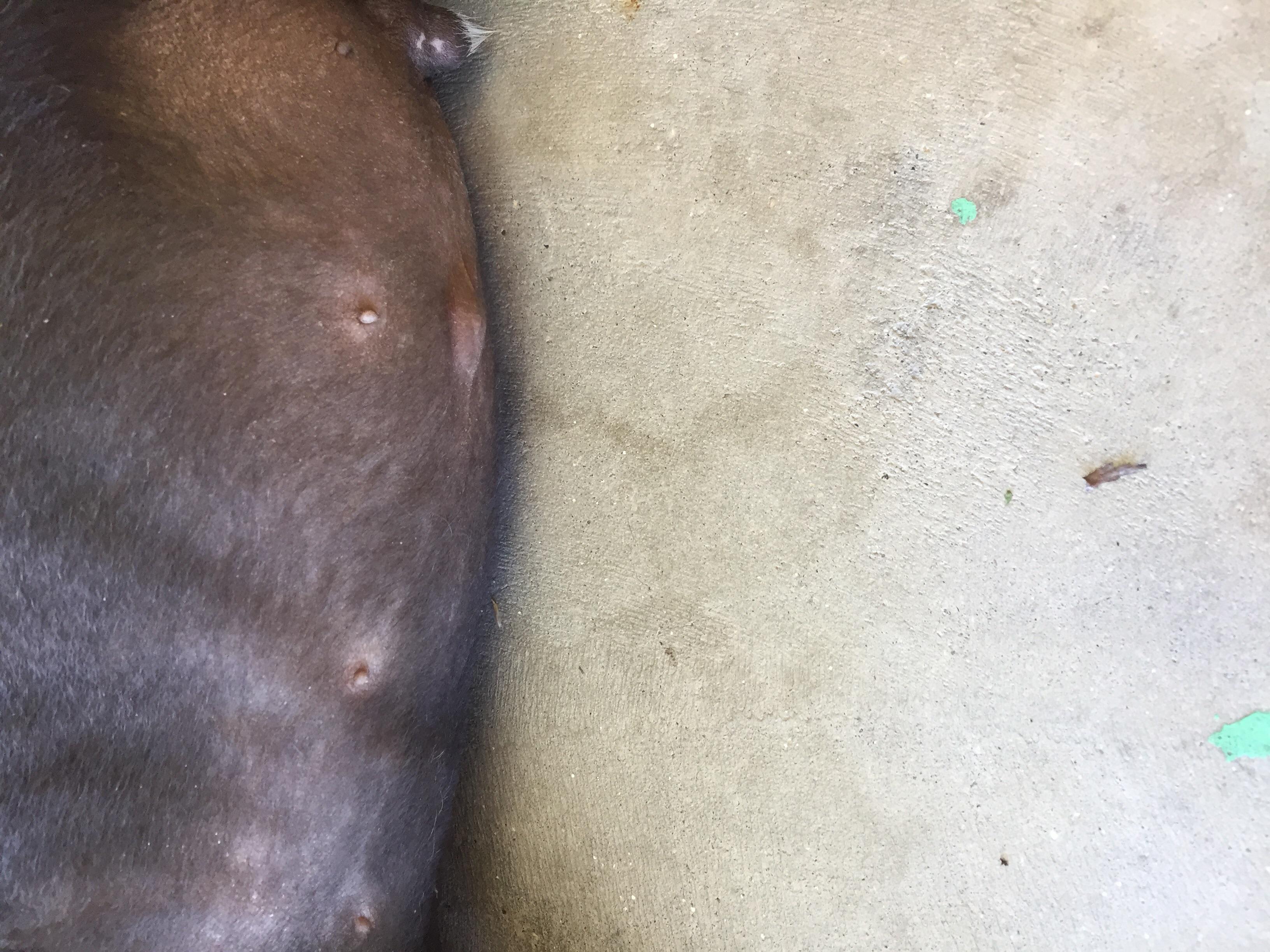 Question details sensitive content