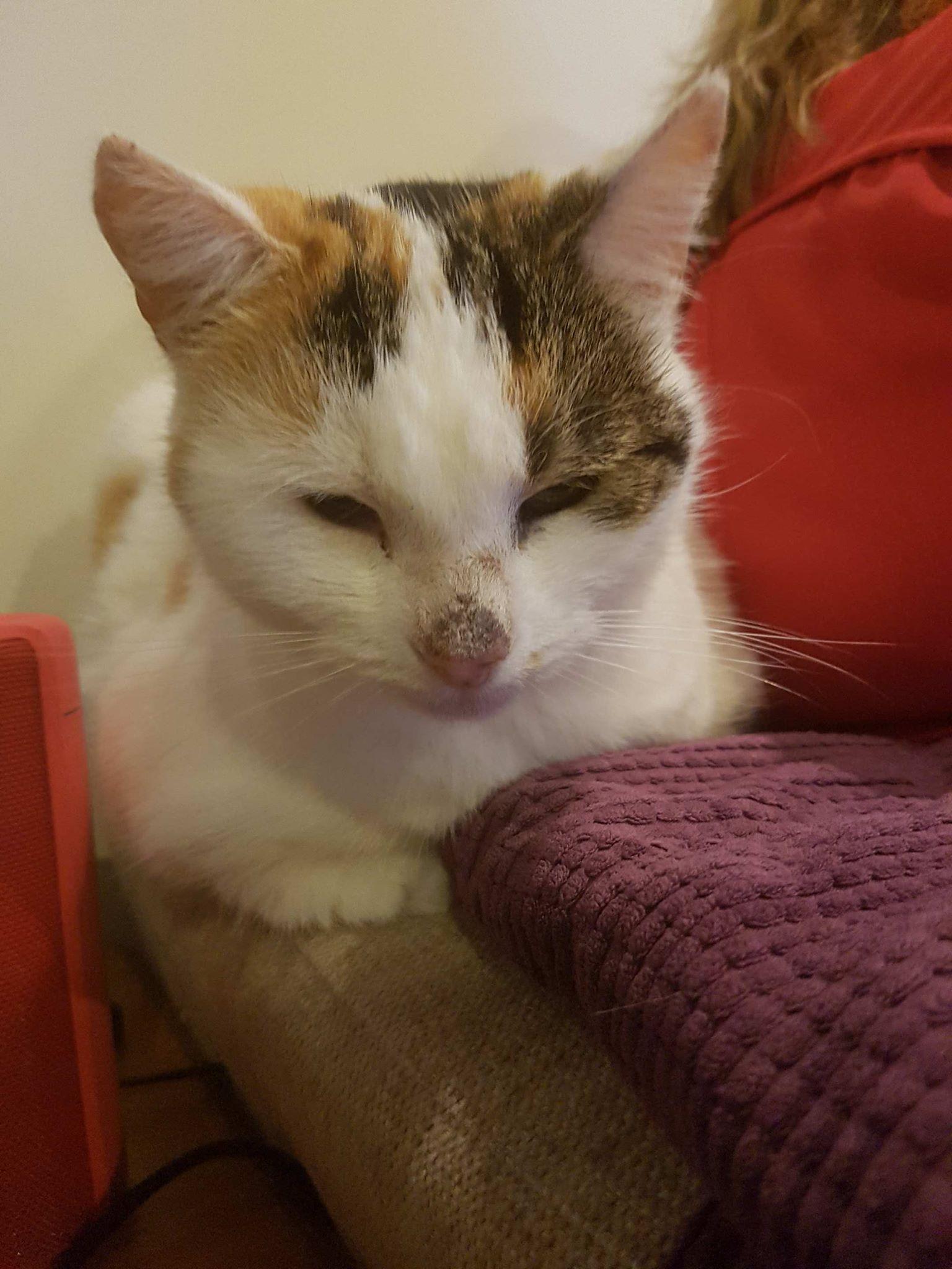 Question details sensitive content