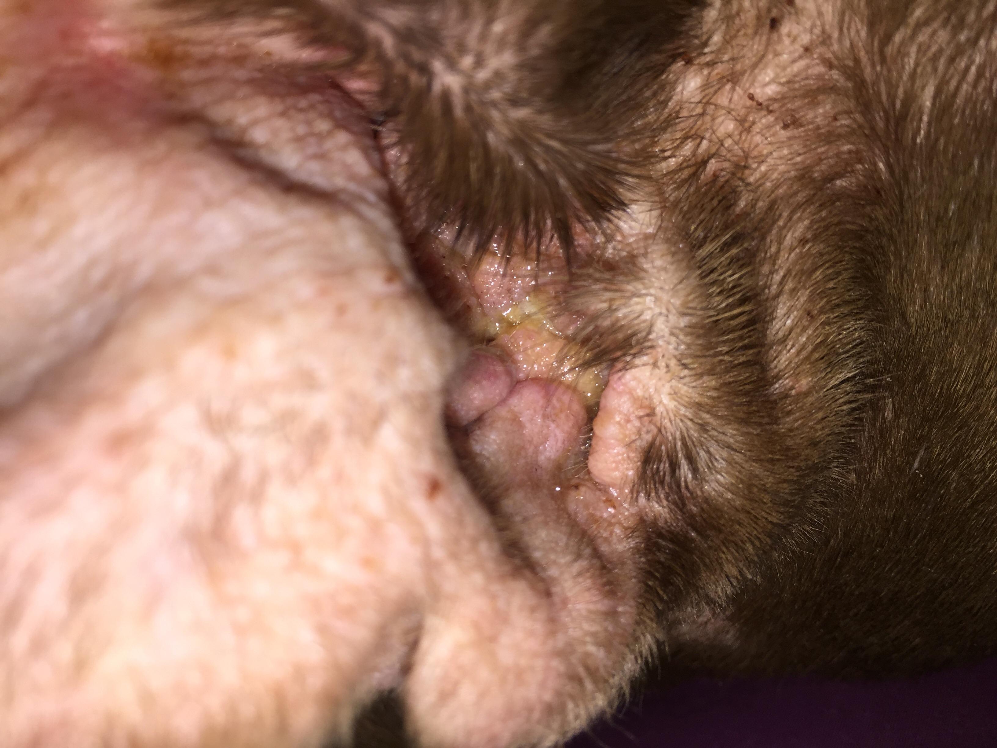 Question details sensitive content