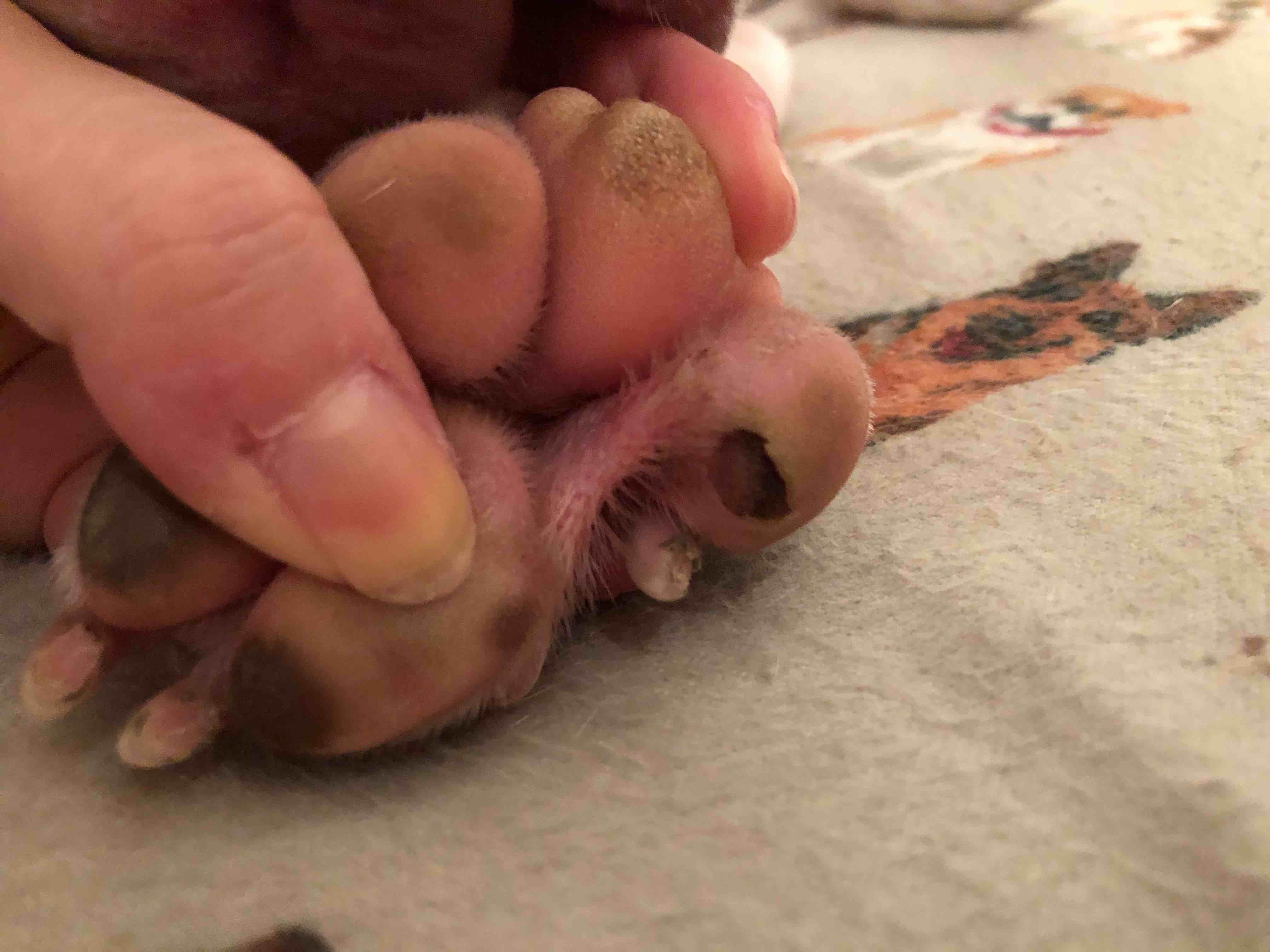 Question details sensitive content