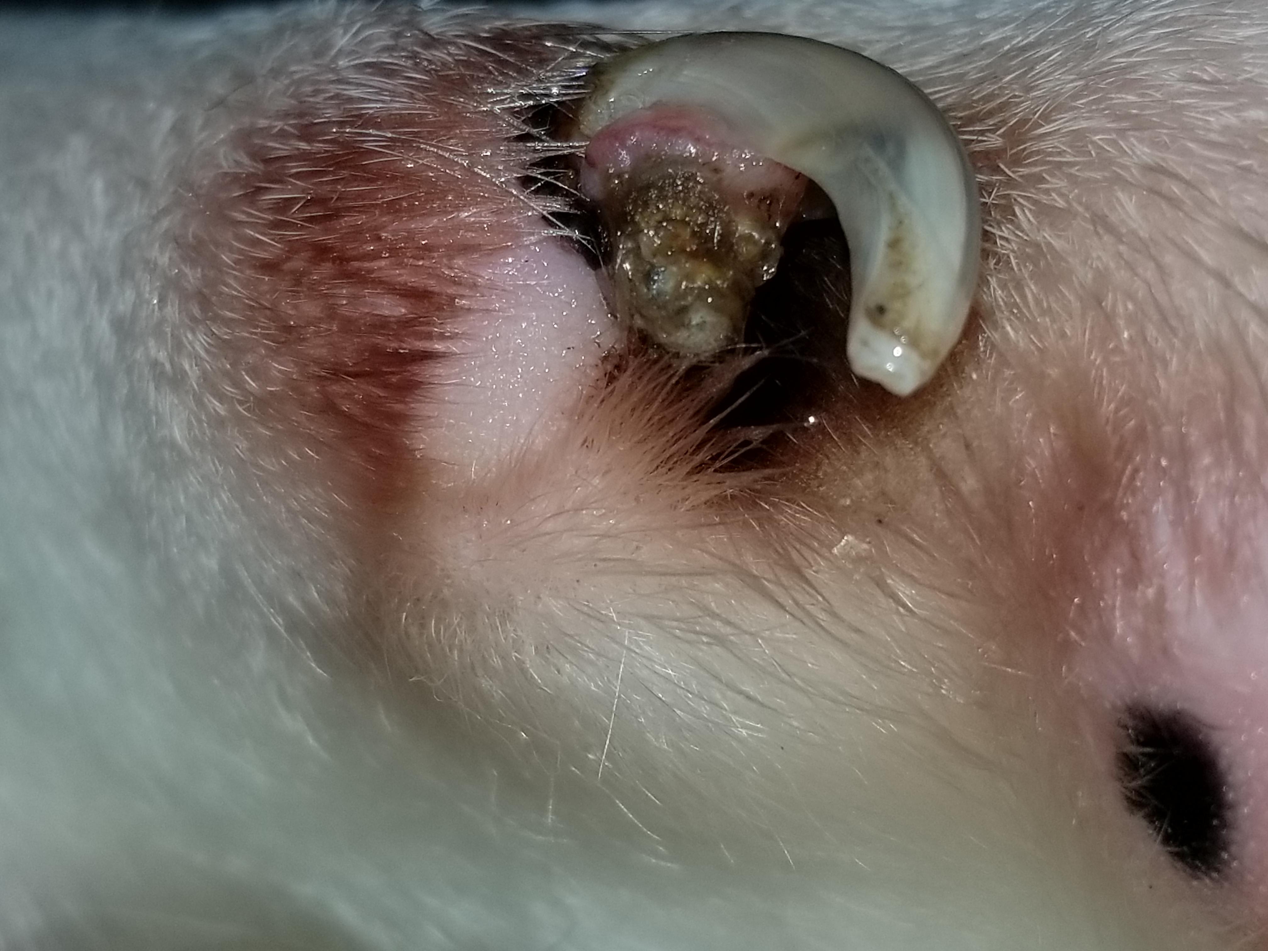 Question details sensitive content