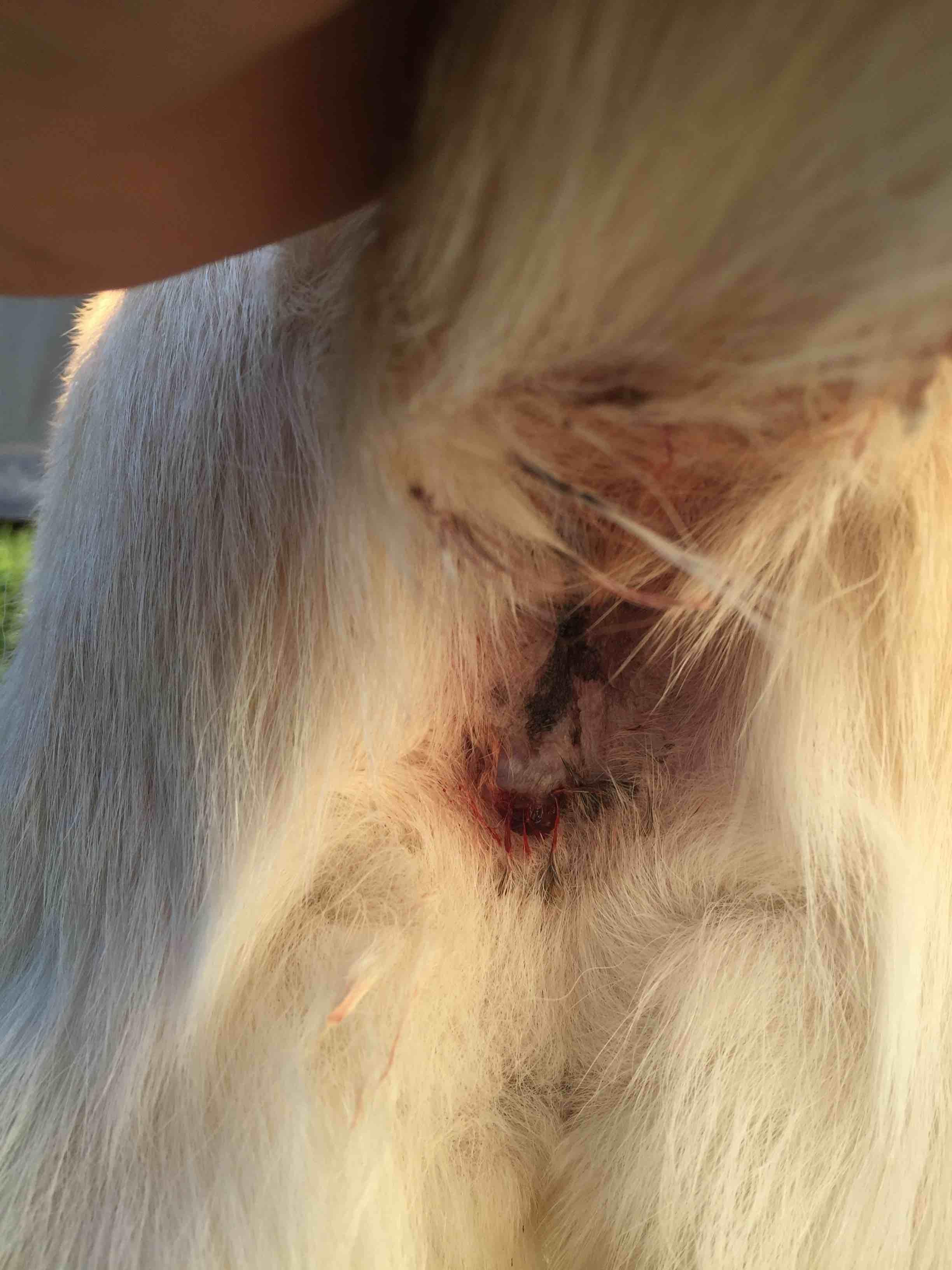 Question details sensitive content