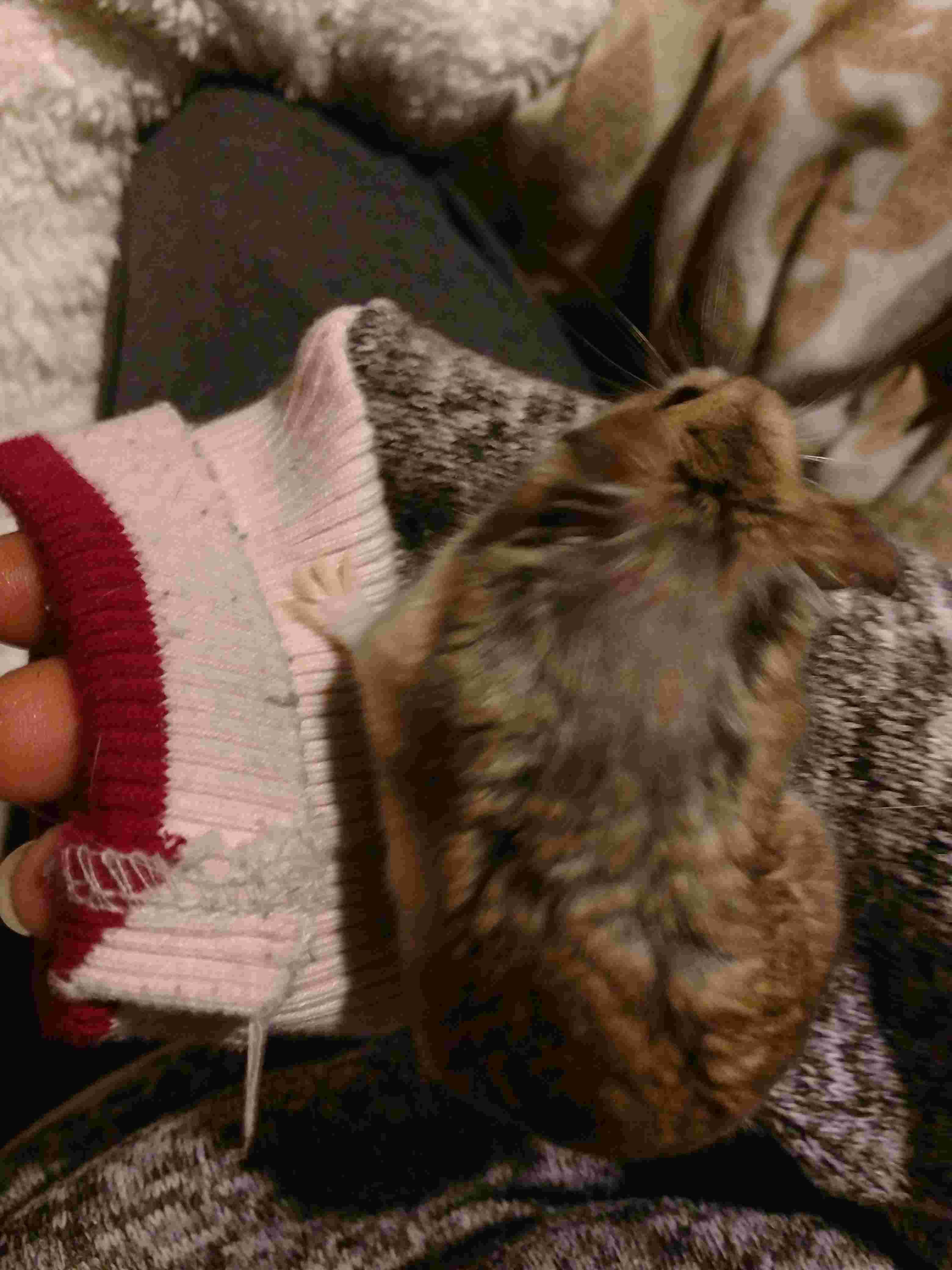 Question details sensitive content