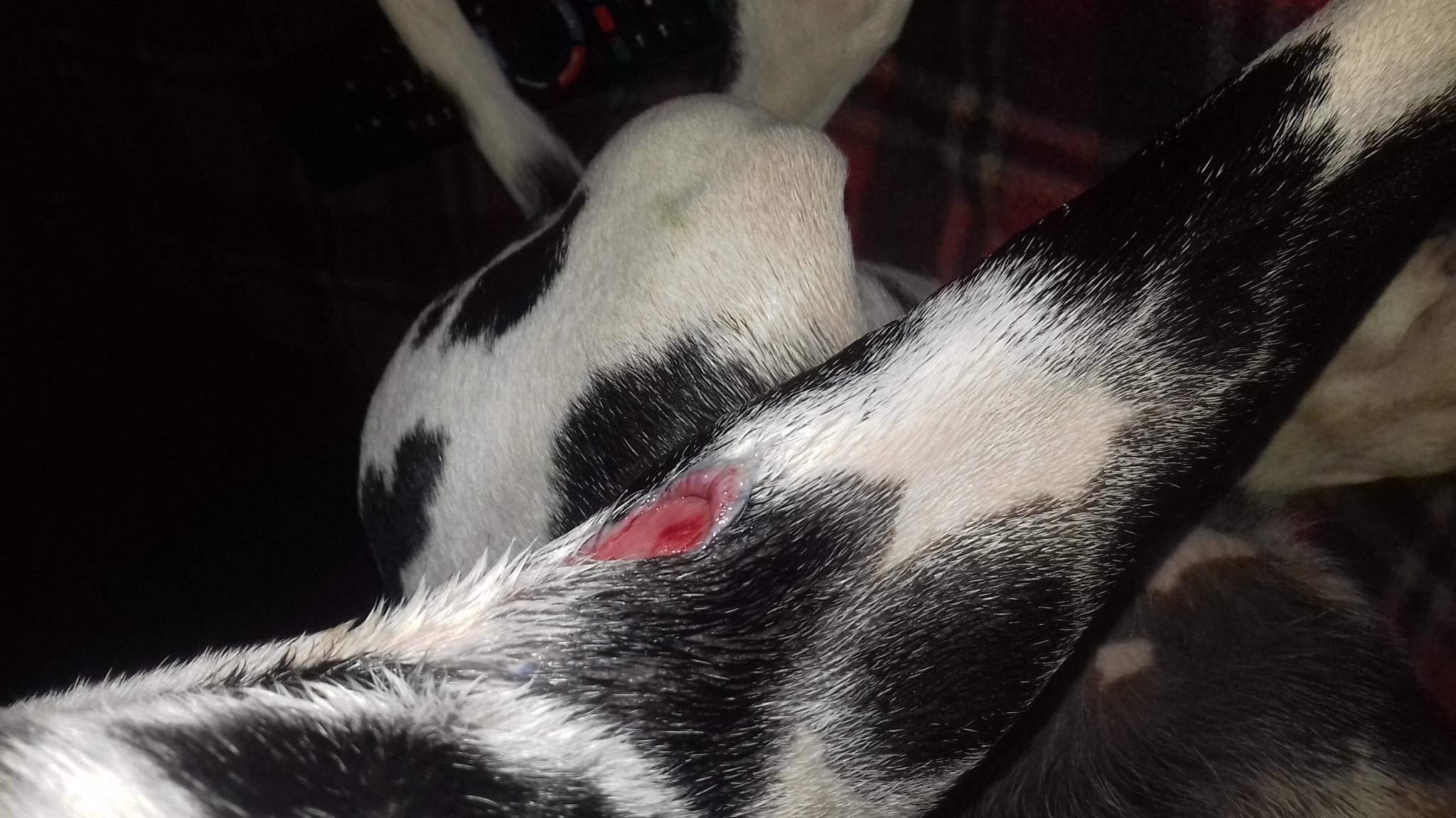 Question details sensitive content