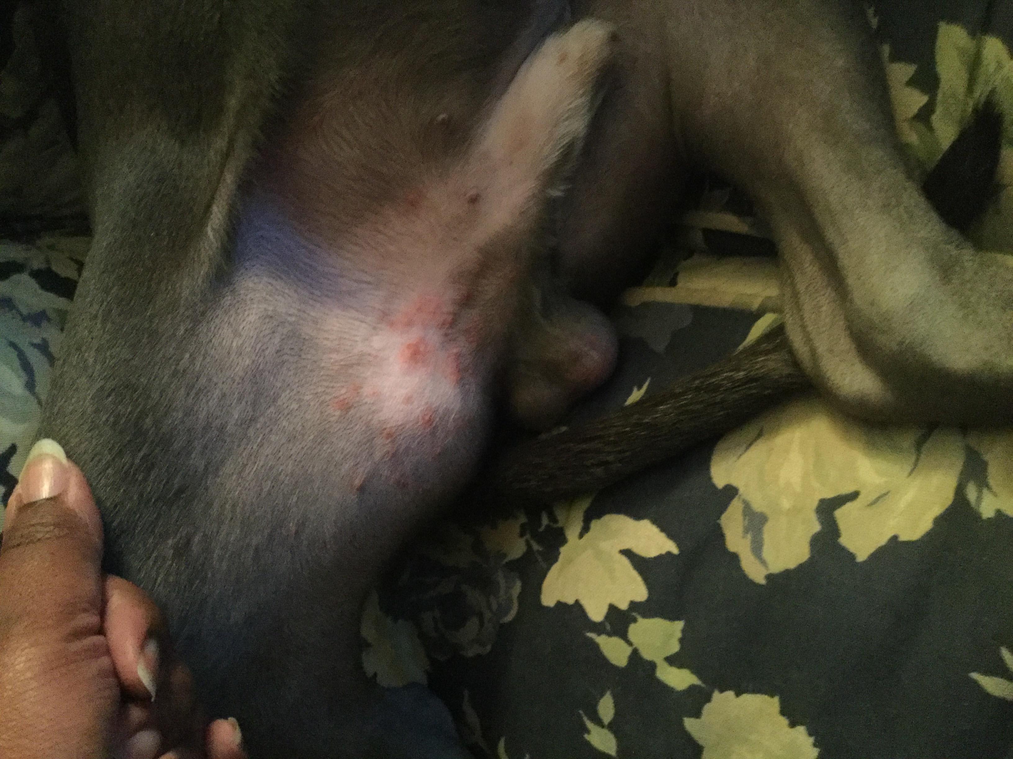 Question details sensitive content