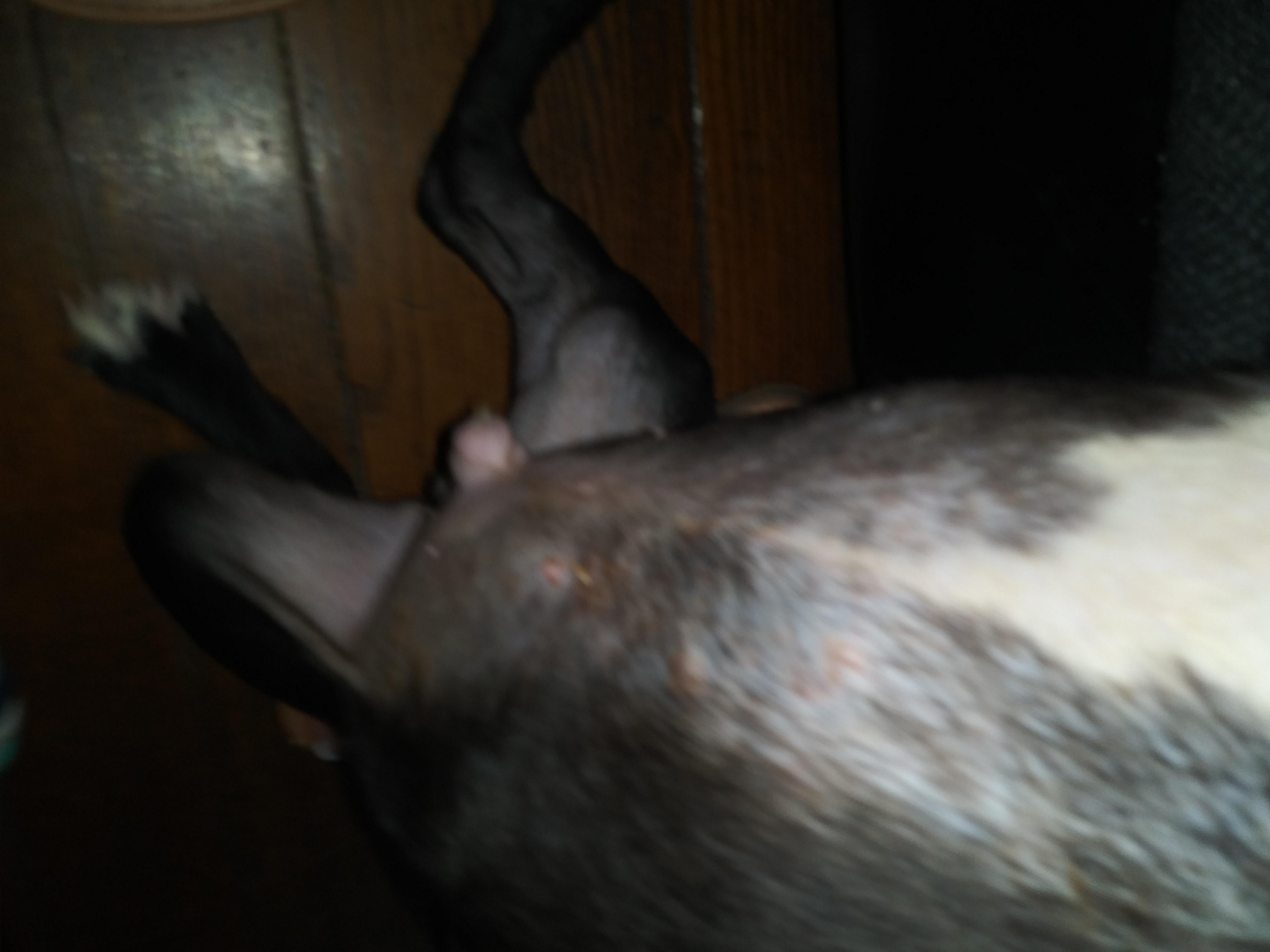 Question details sensitive content