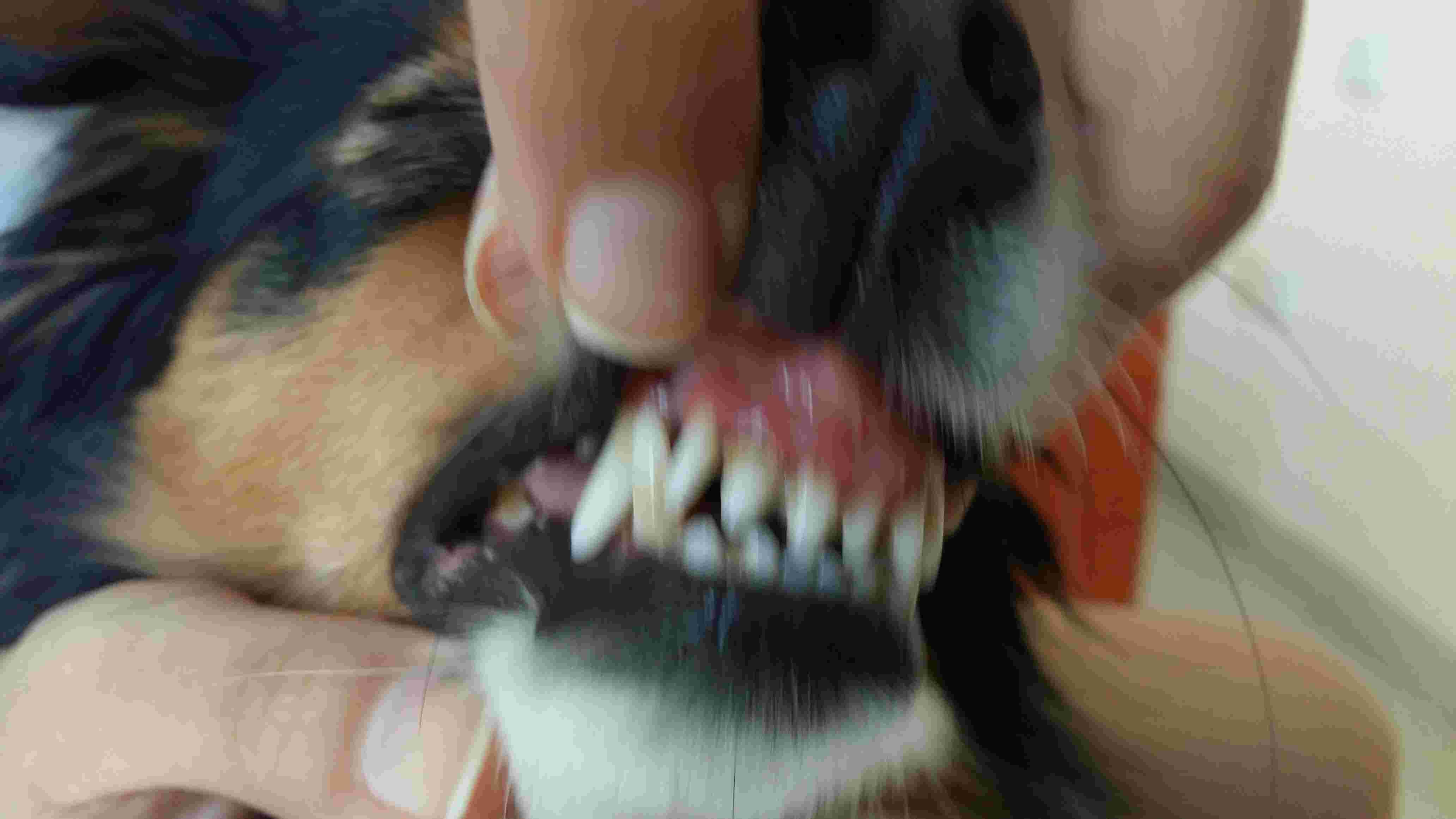 Question details sensitive content