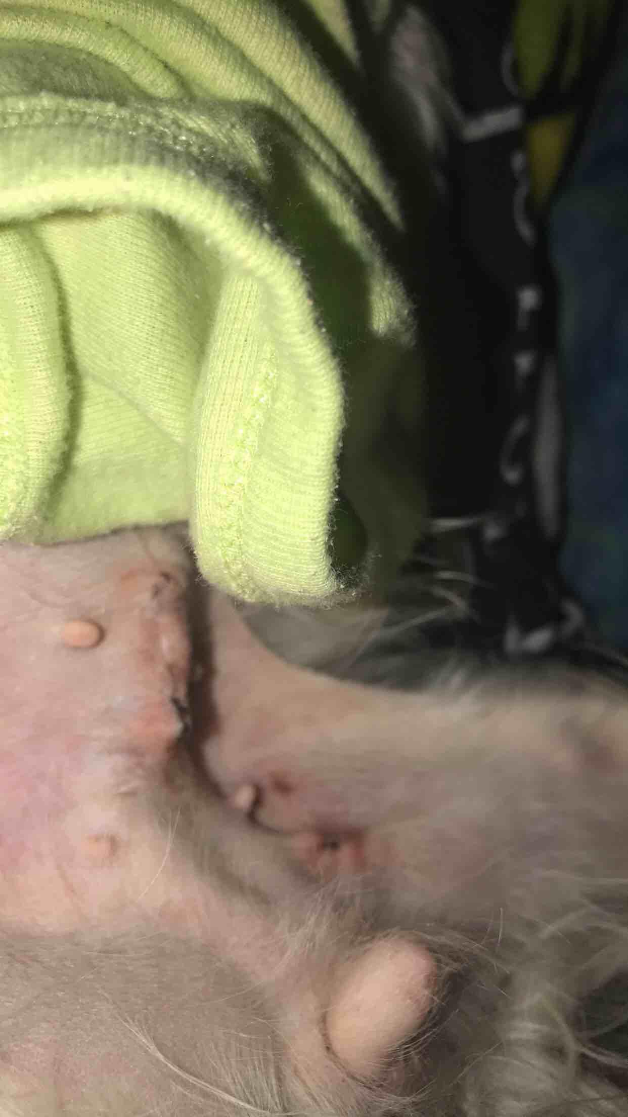 Question details sensitive content