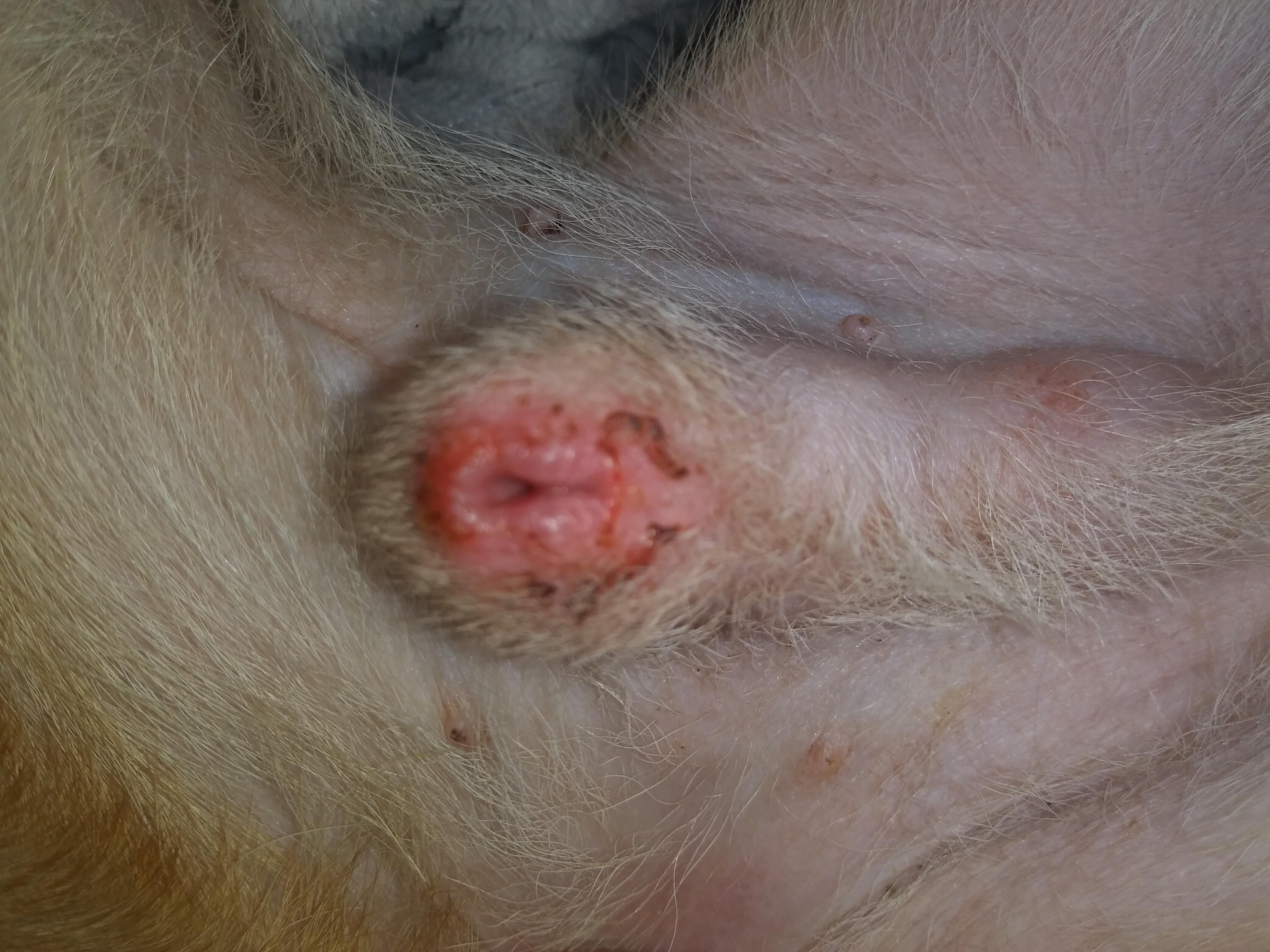 Question details sensitive content