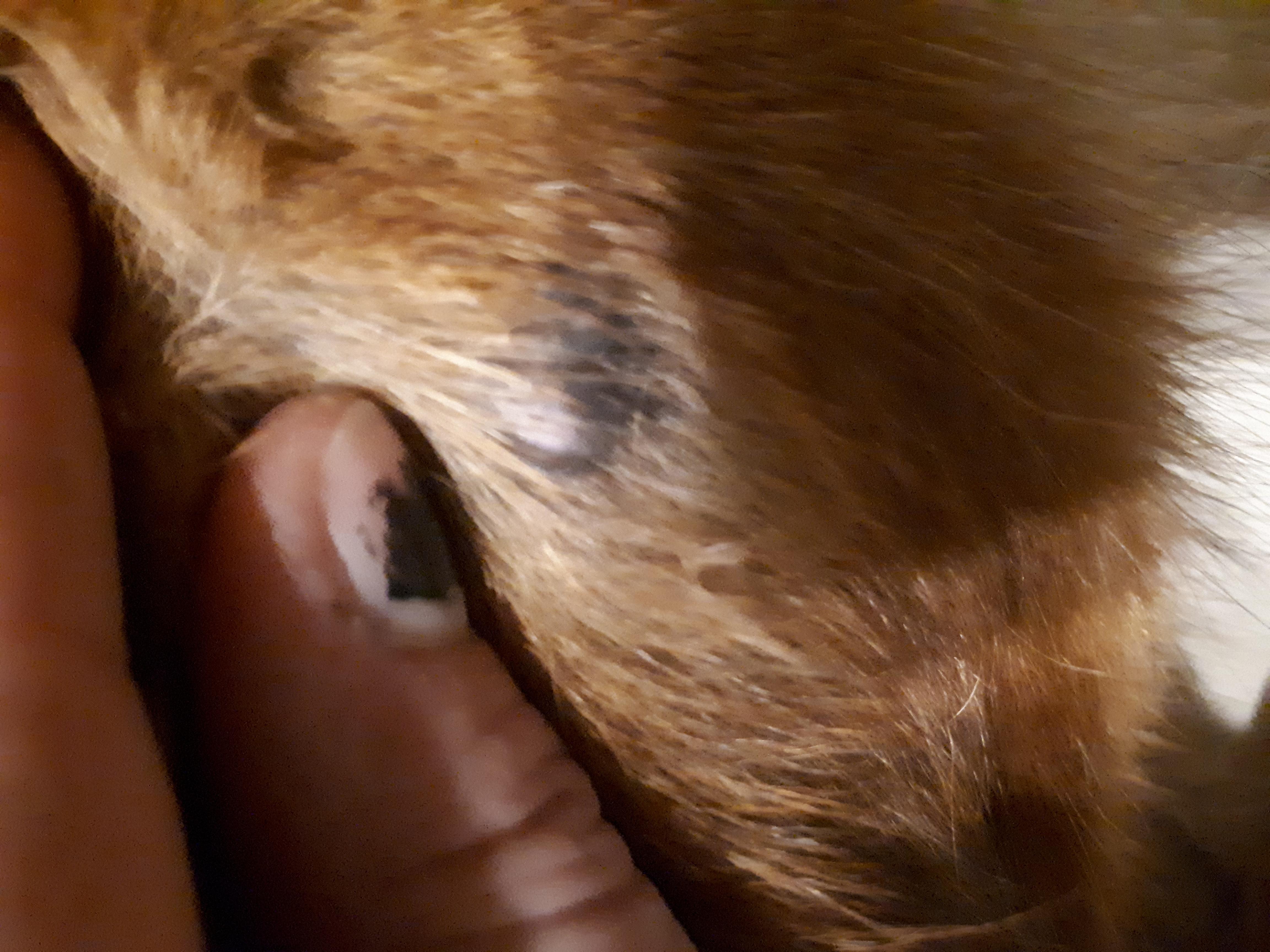 Question details sensitive content