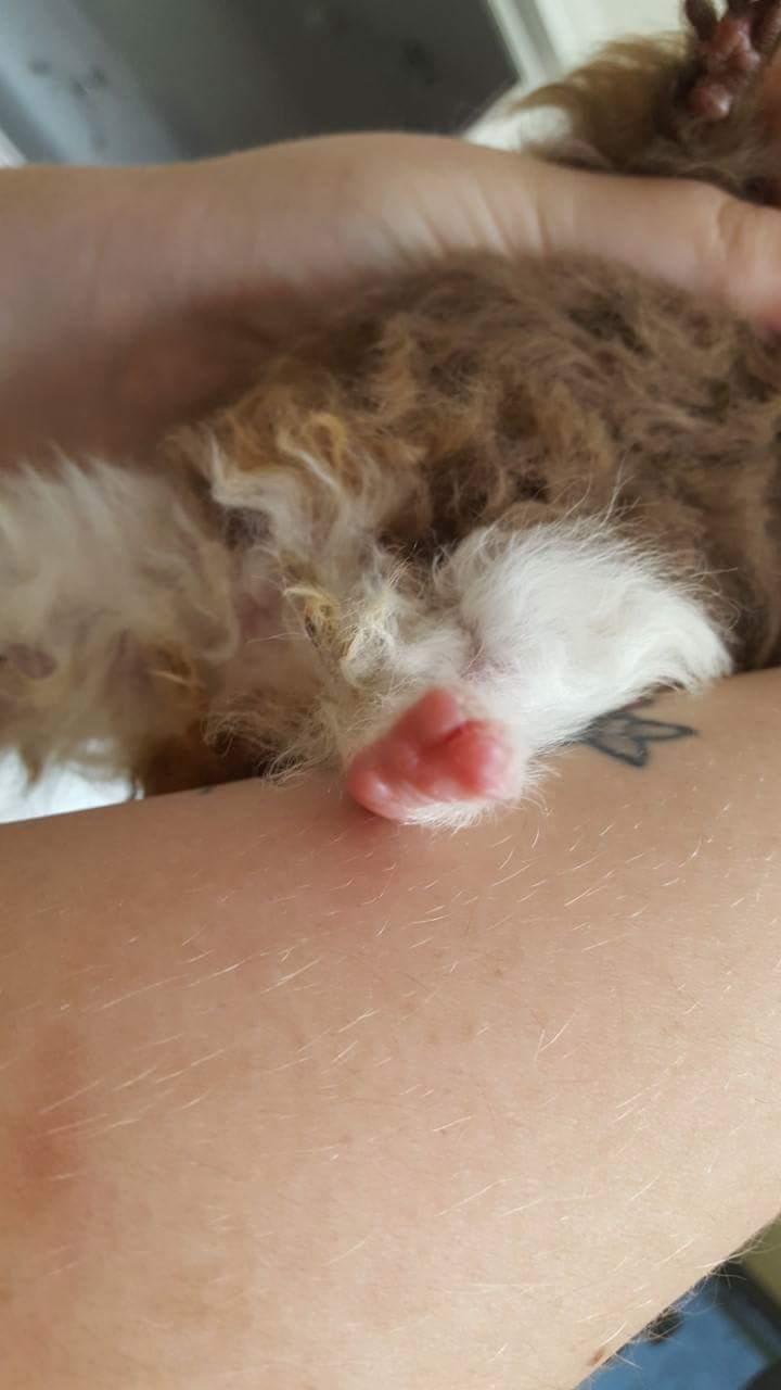 Question details sensitive content