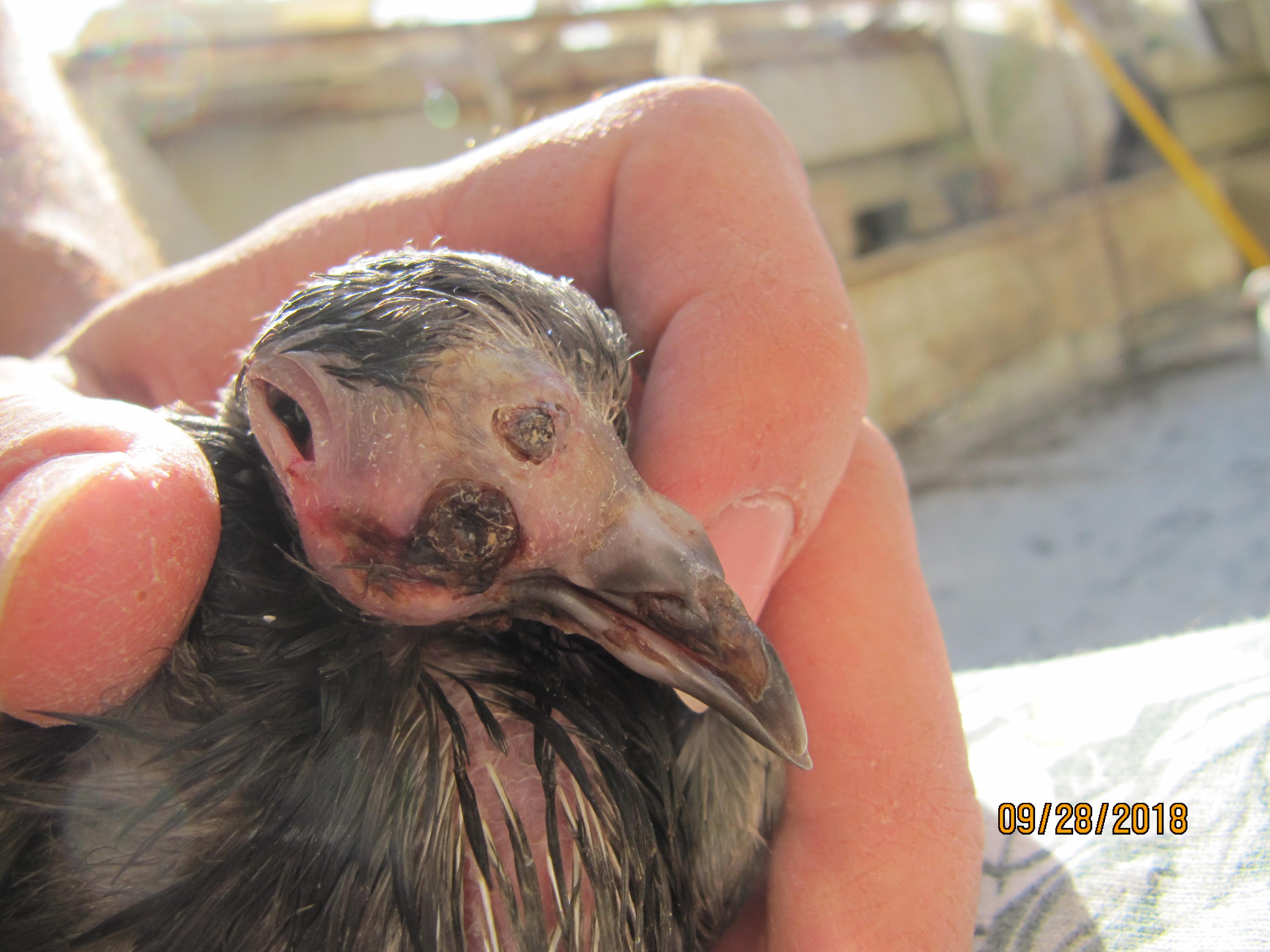 Question details sensitive content