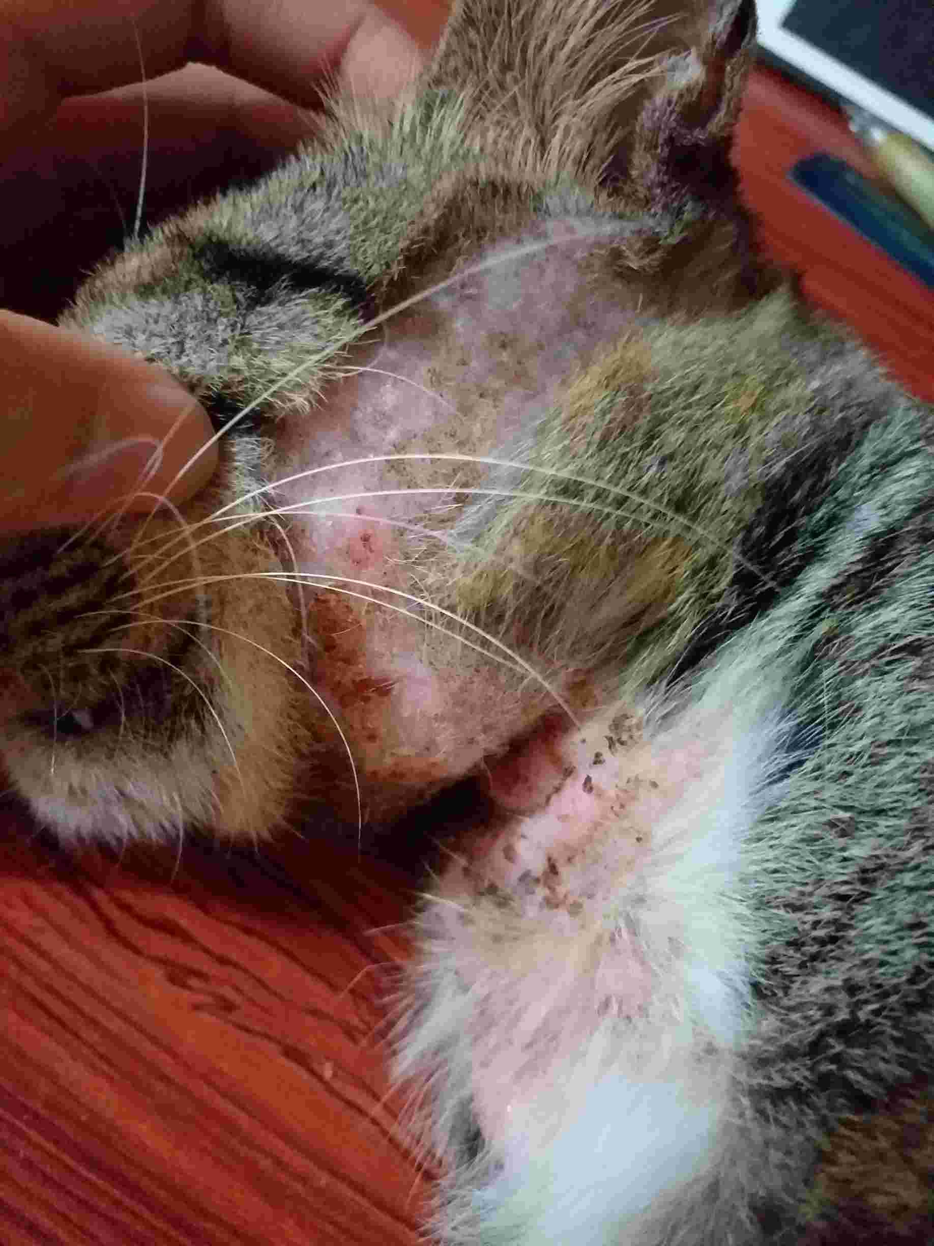 Question details sensitive content