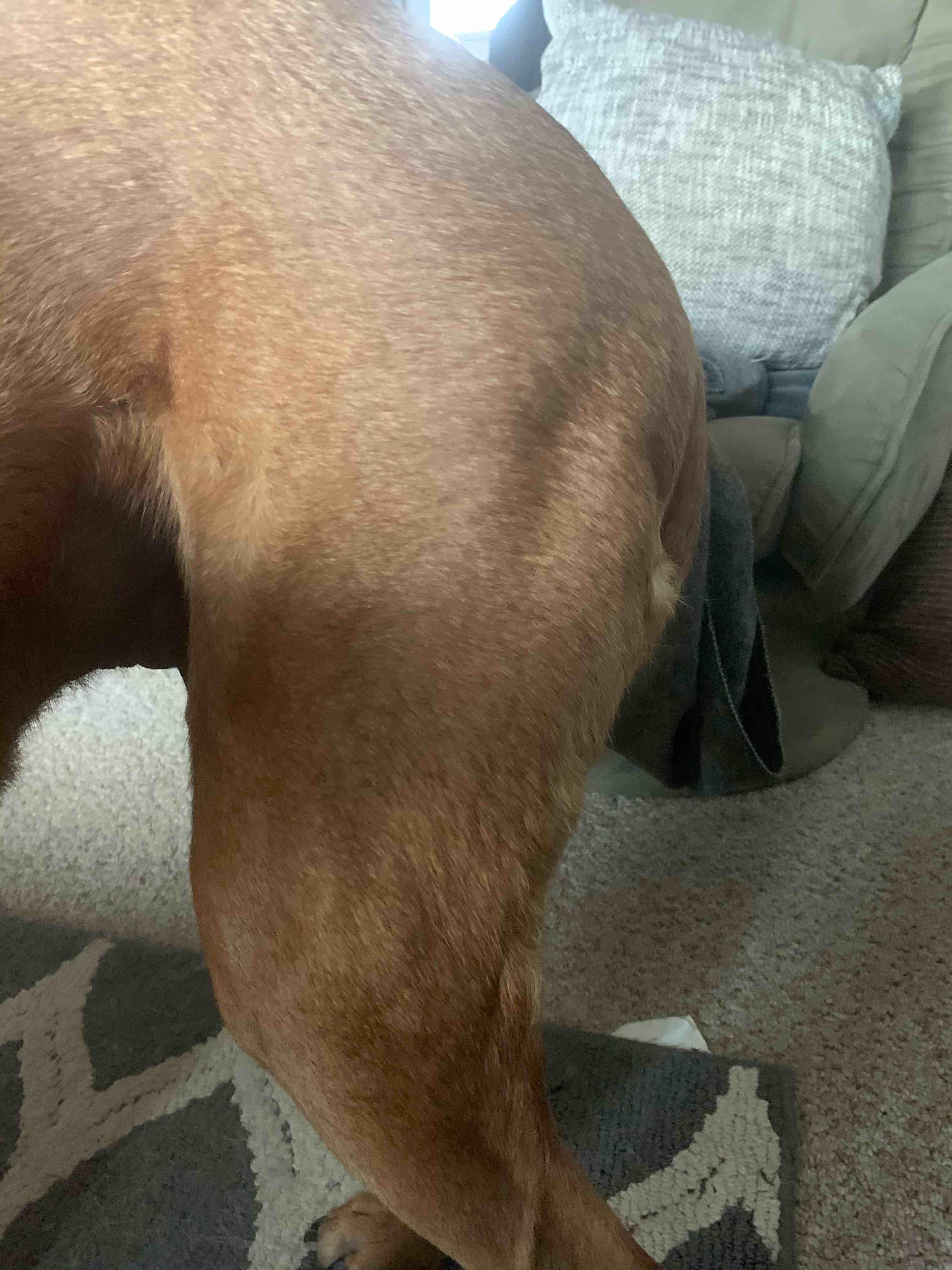 Question details sensitive content