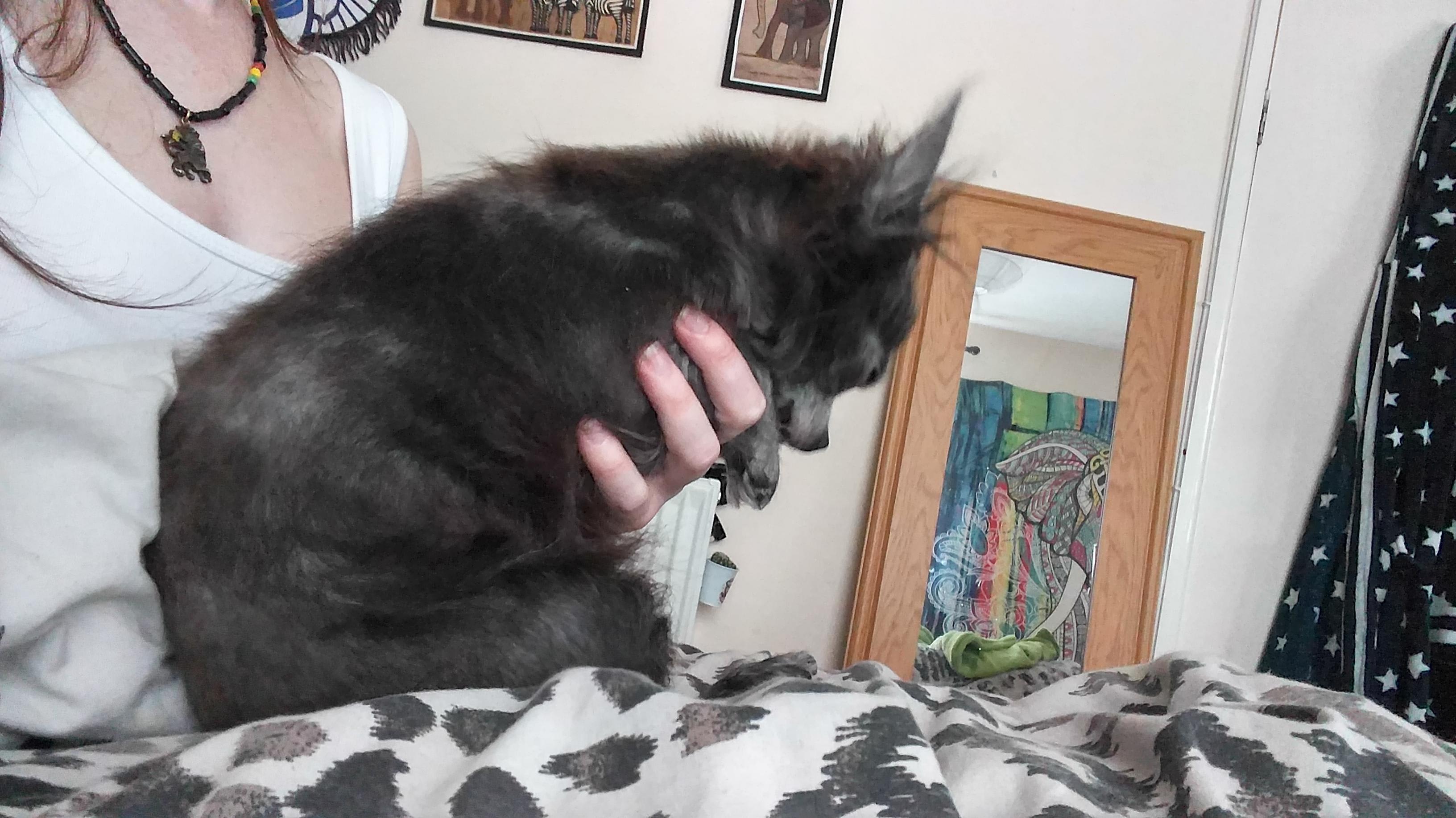 Question details sensitive content