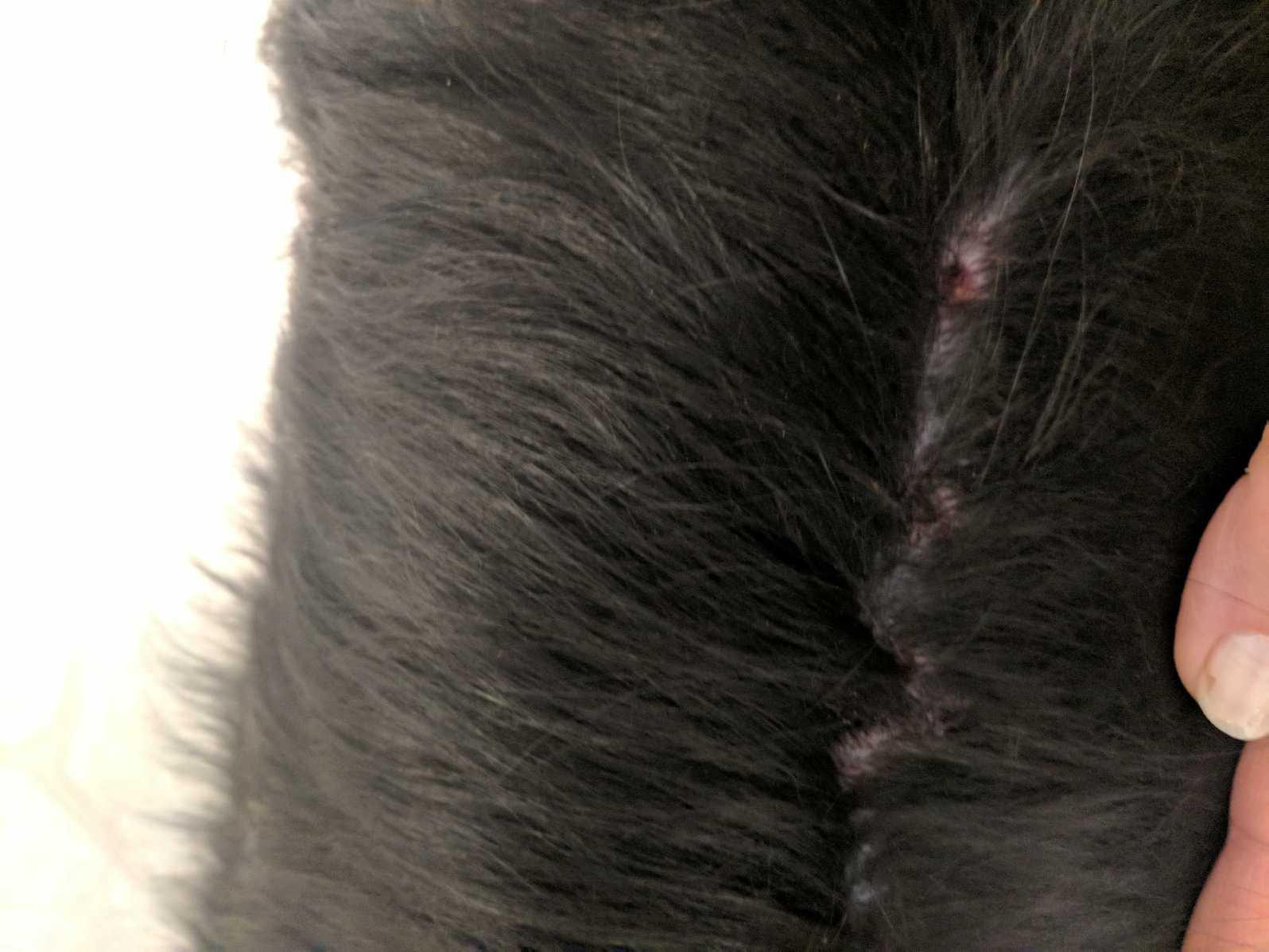 Question details sensitive content