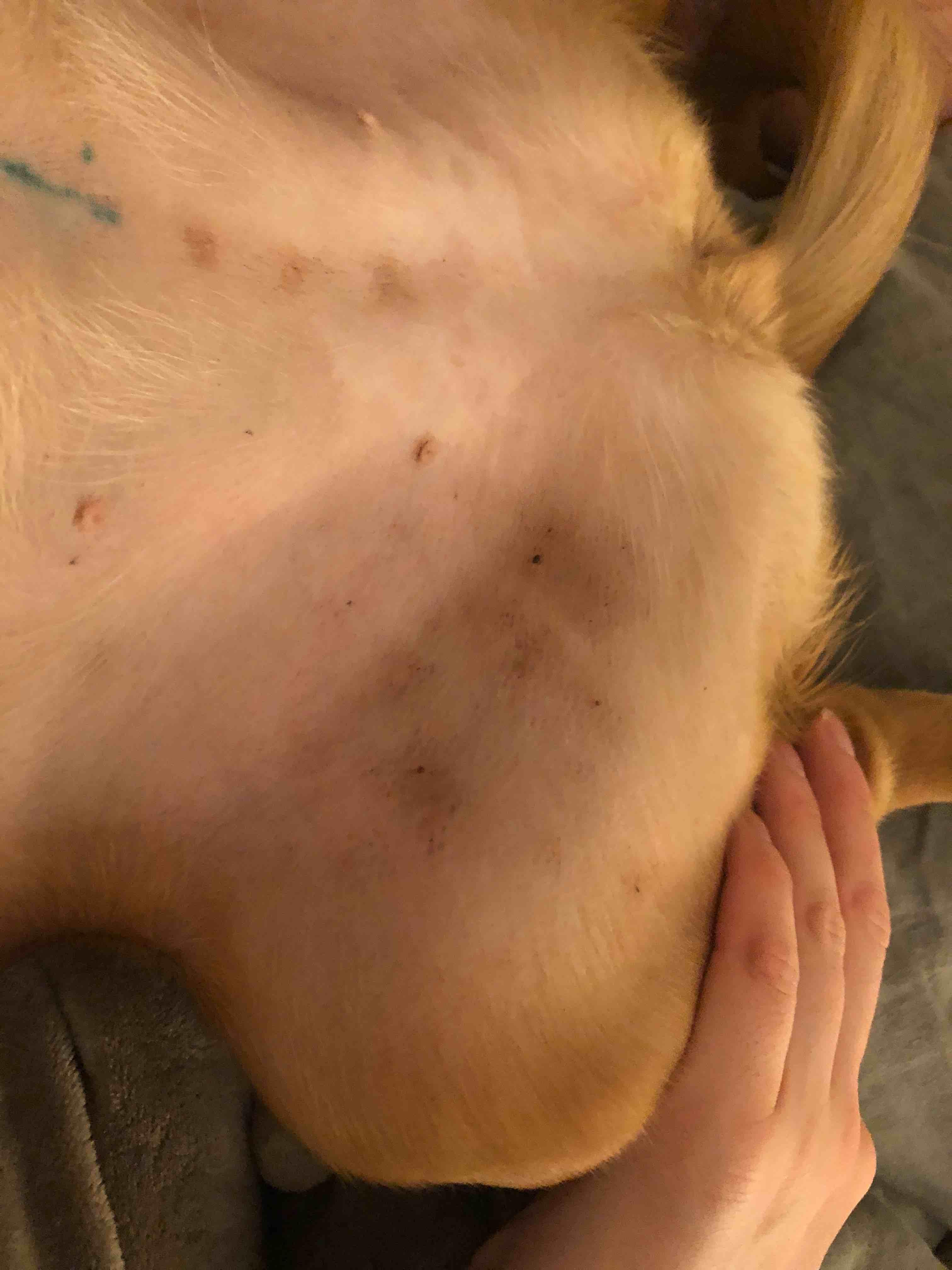 Question details sensitive content