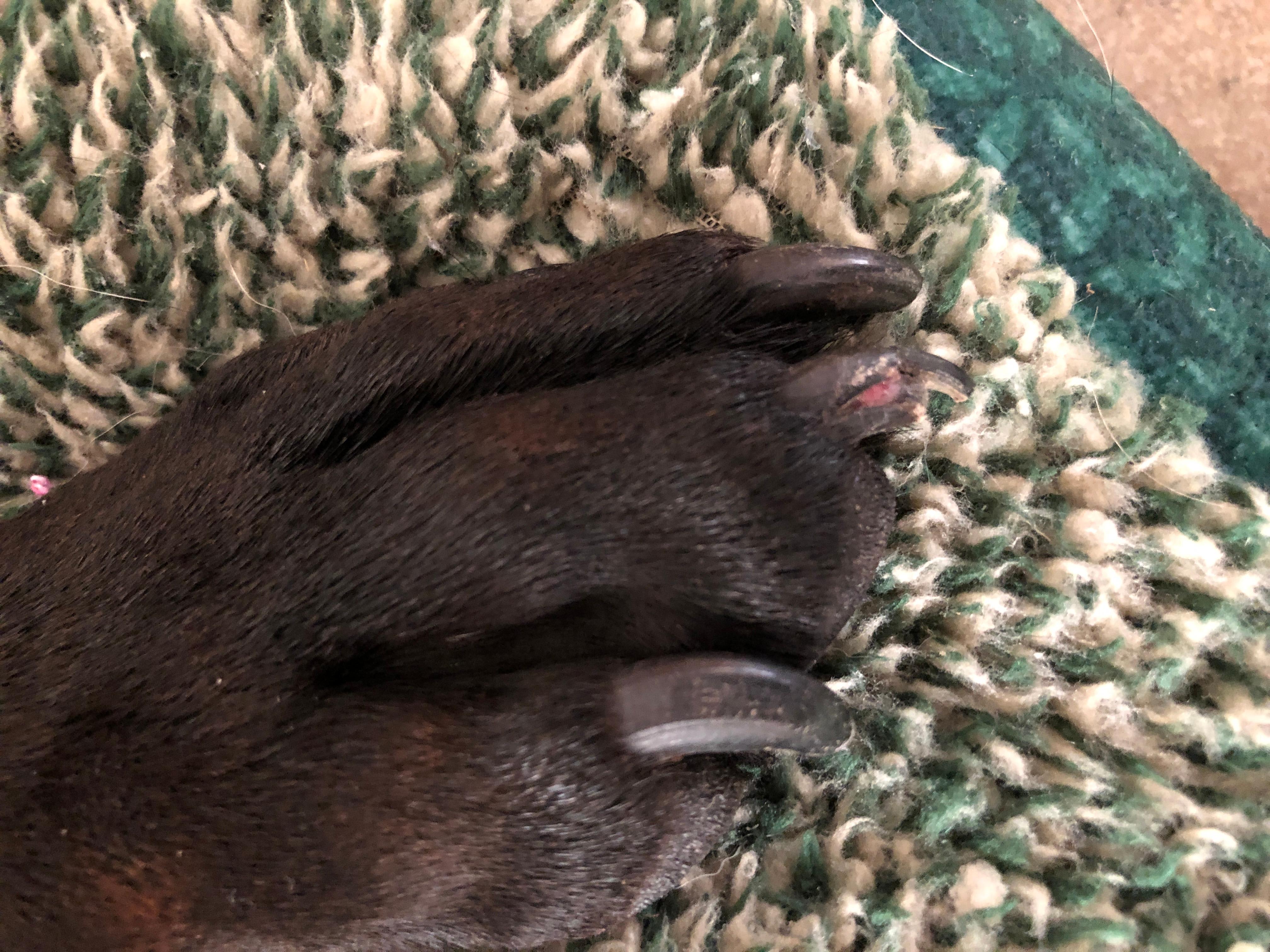 Question details sensitive content