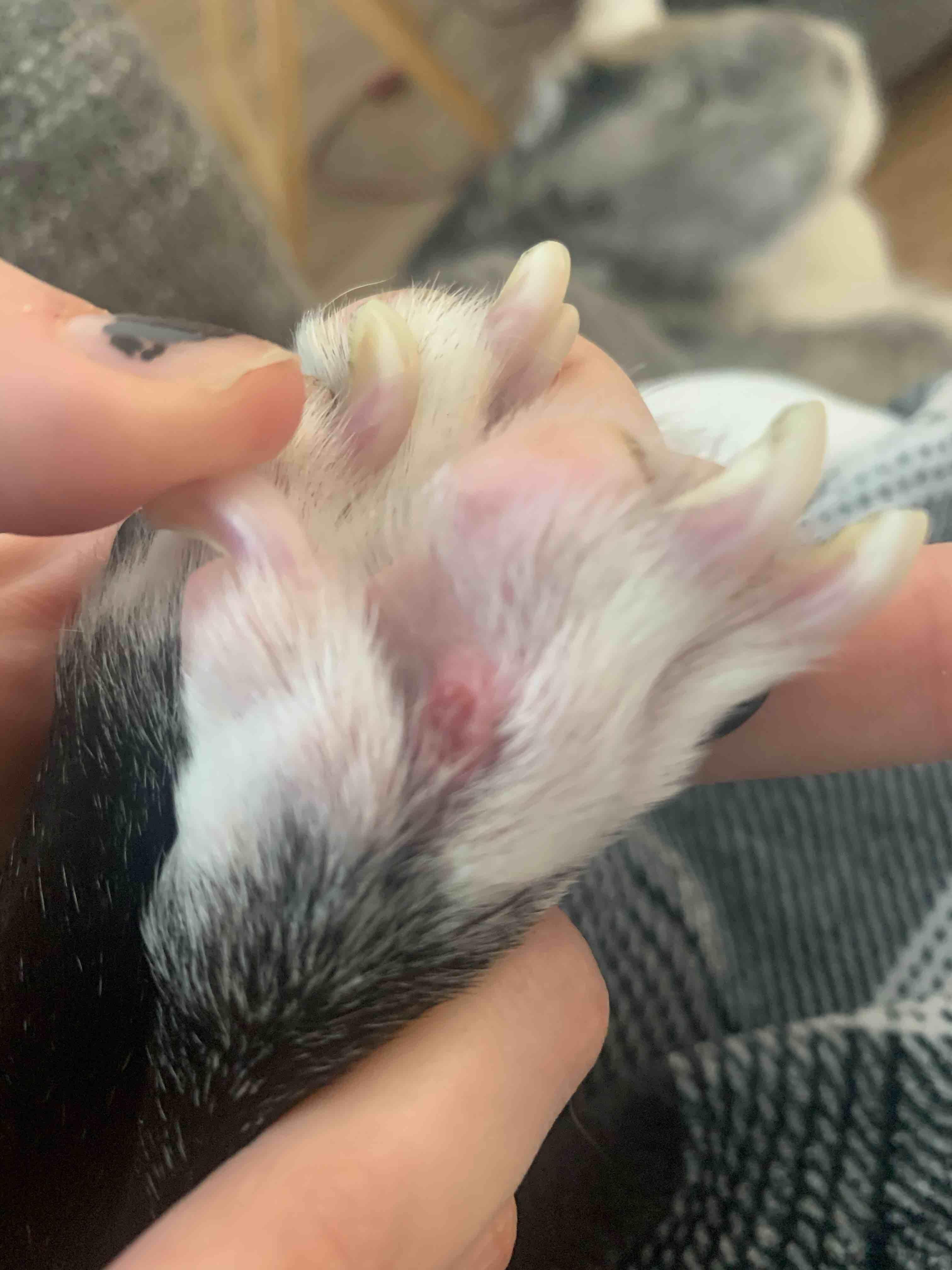 Question details sensitive content