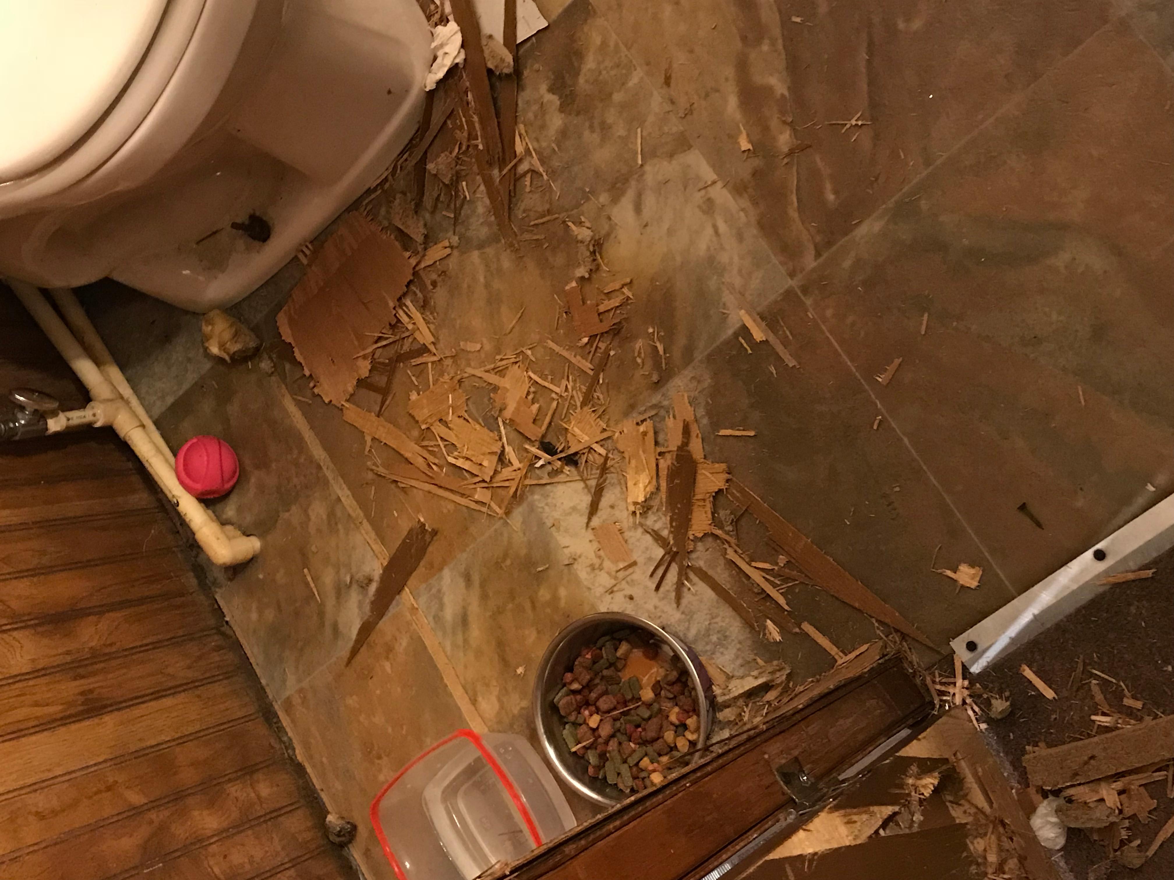 Question details sensitive content