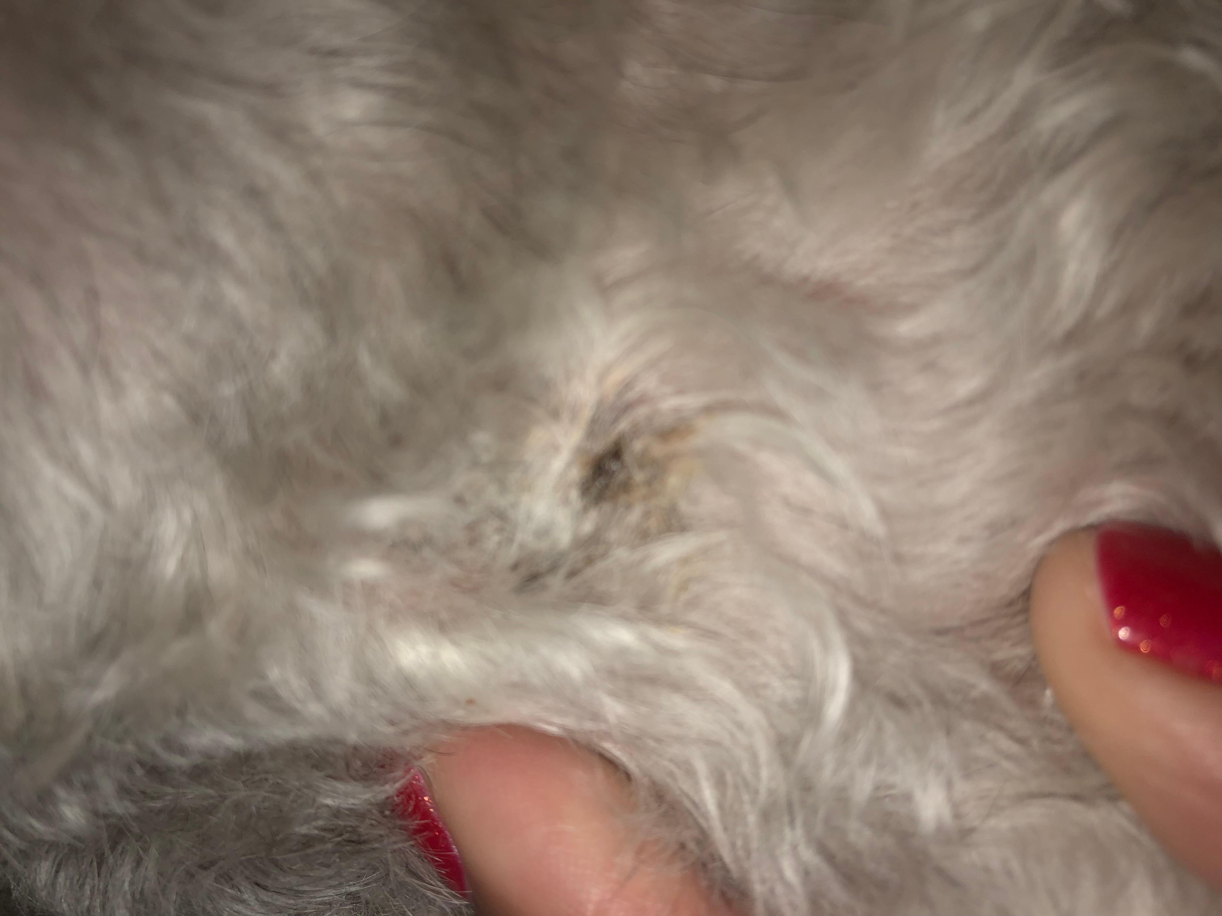 Question details sensitive content