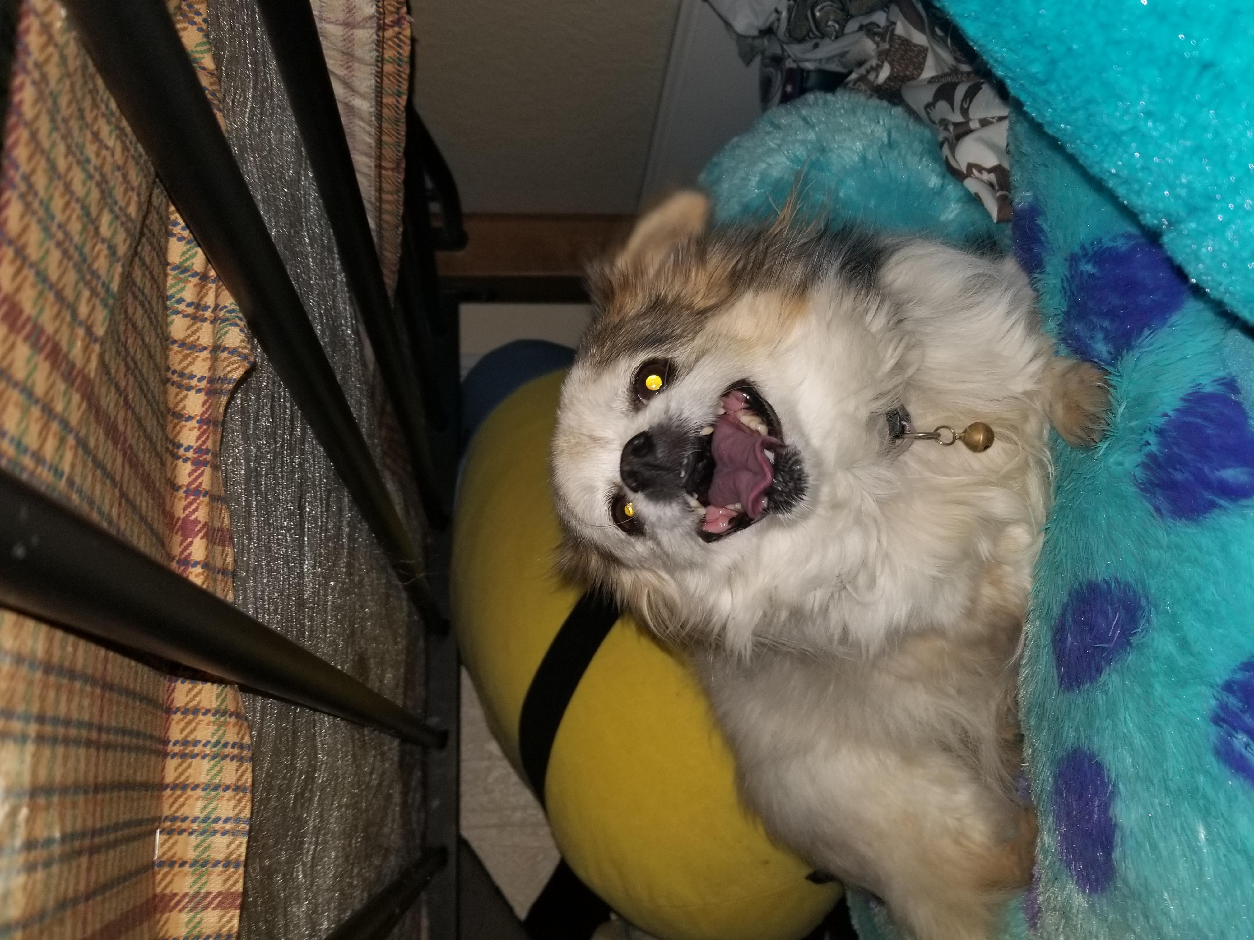 Question details sensitive content