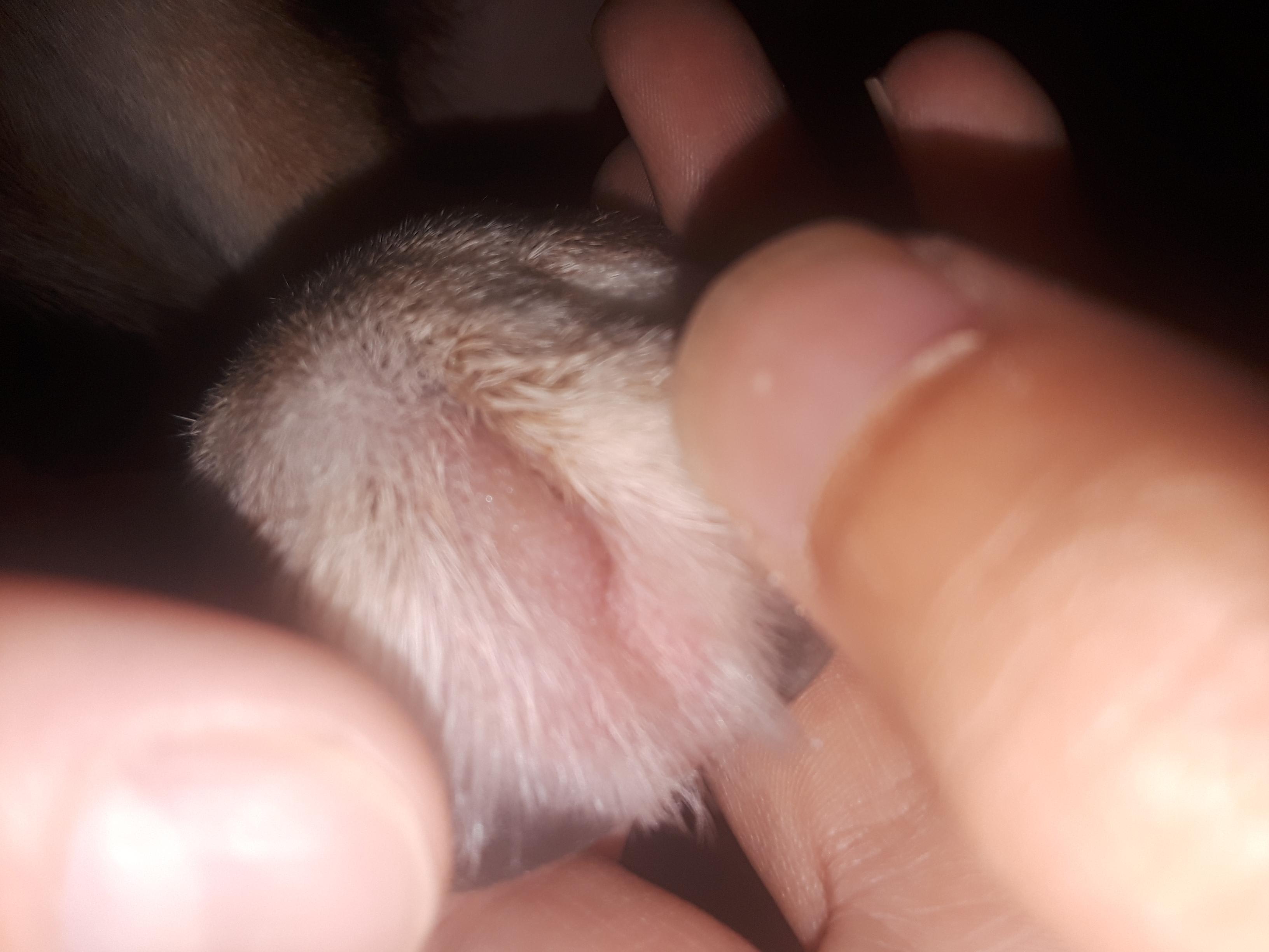 Question details sensitive content