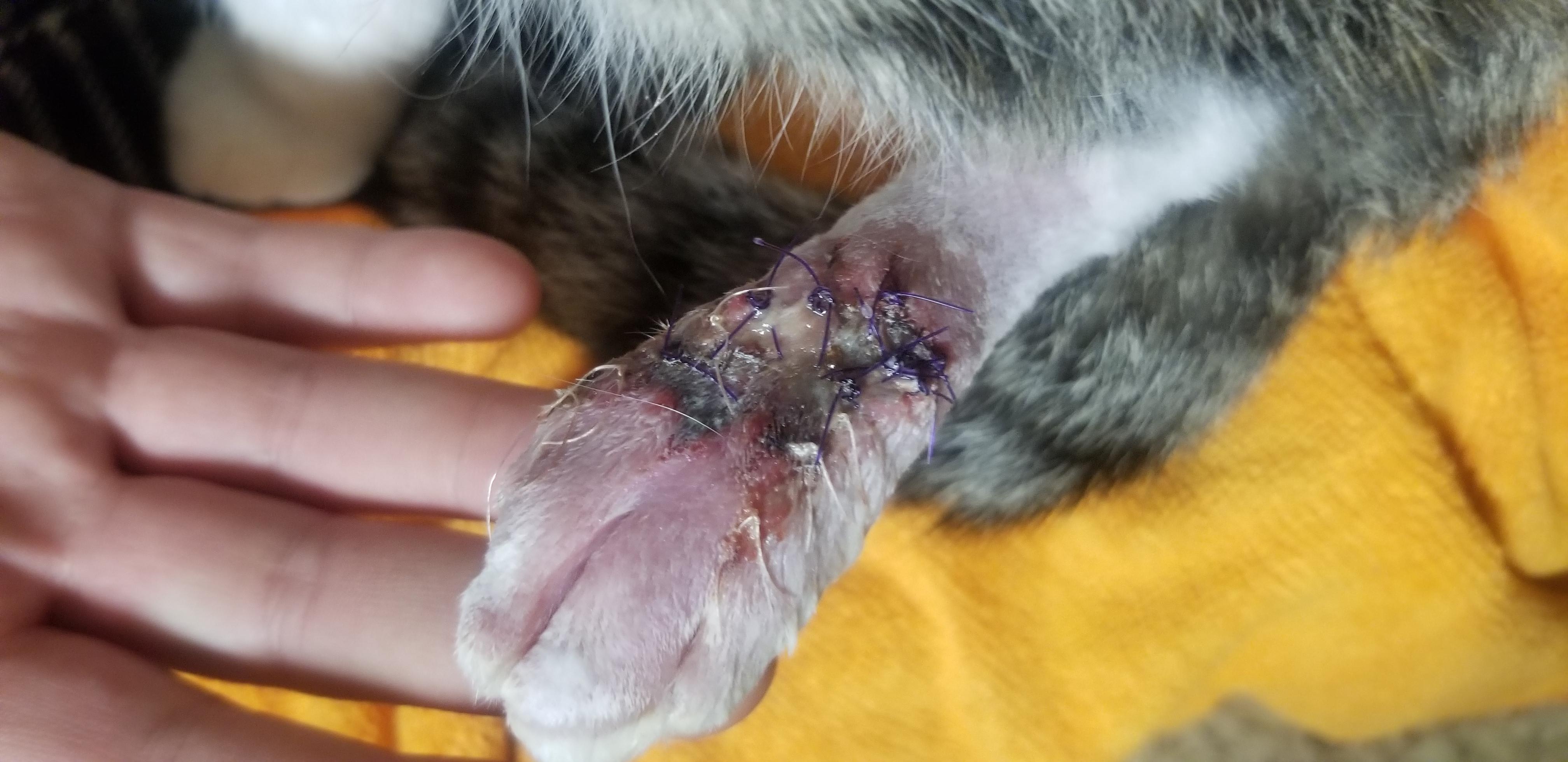 Question details sensitive content