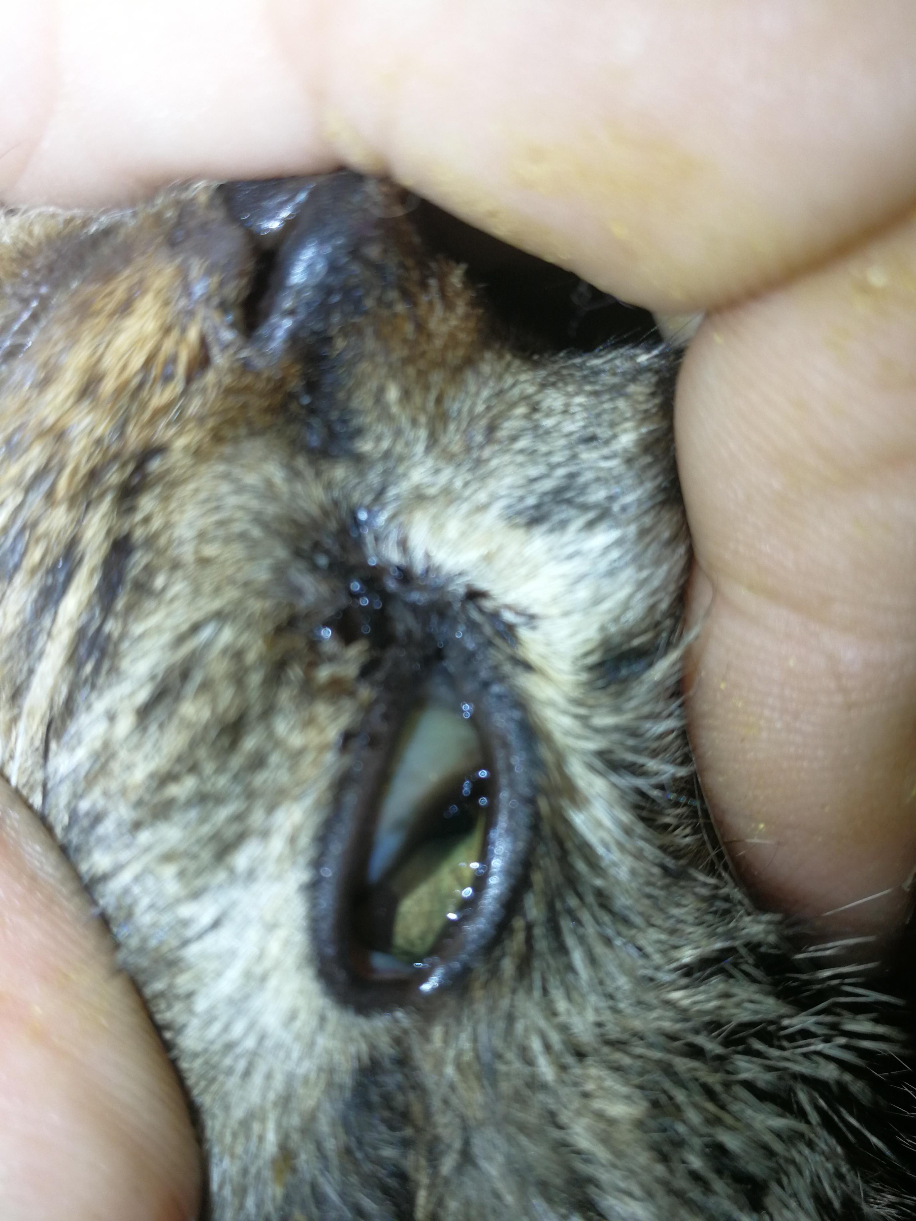 Question details sensitive content