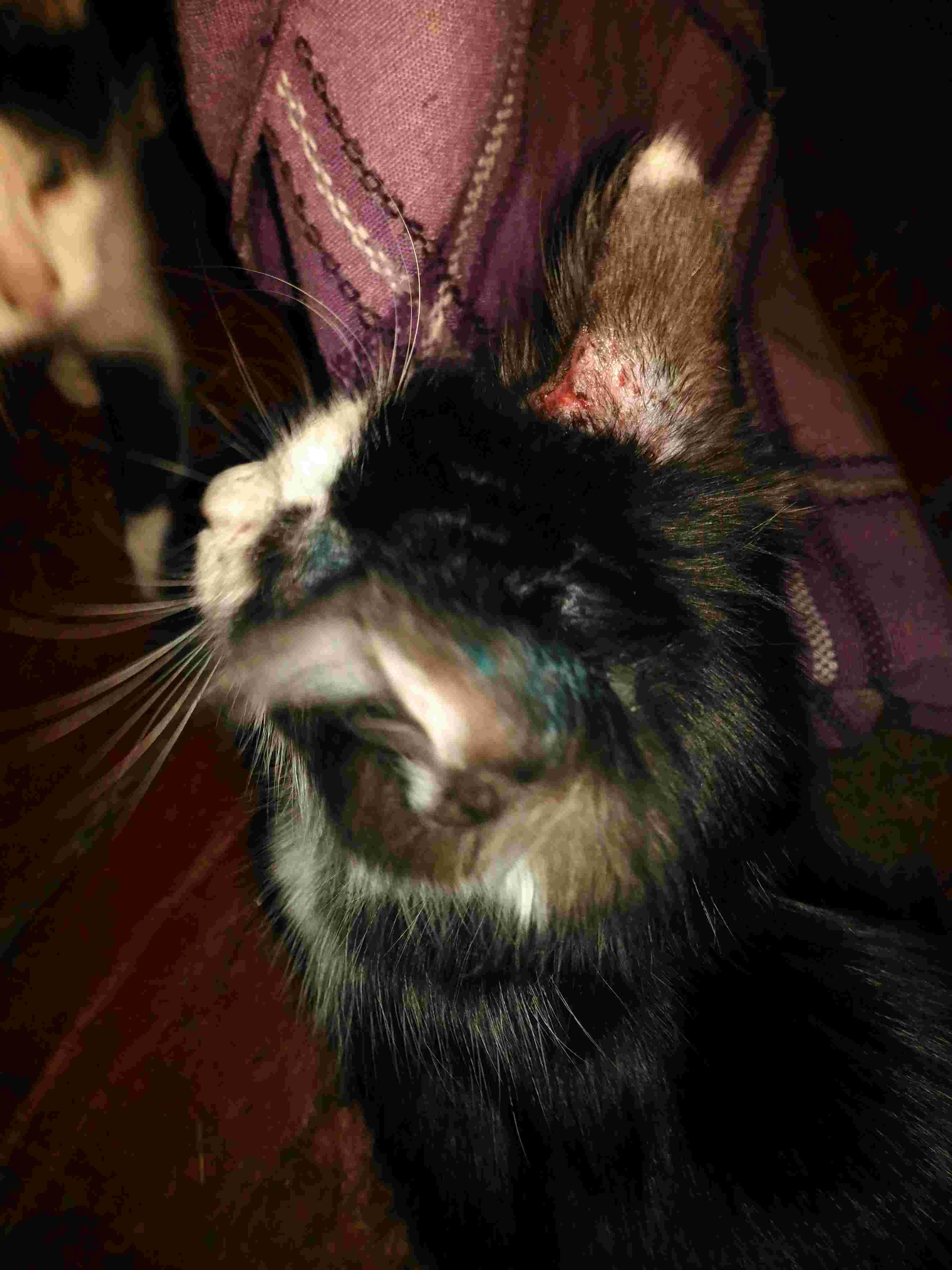 Question details sensitive content