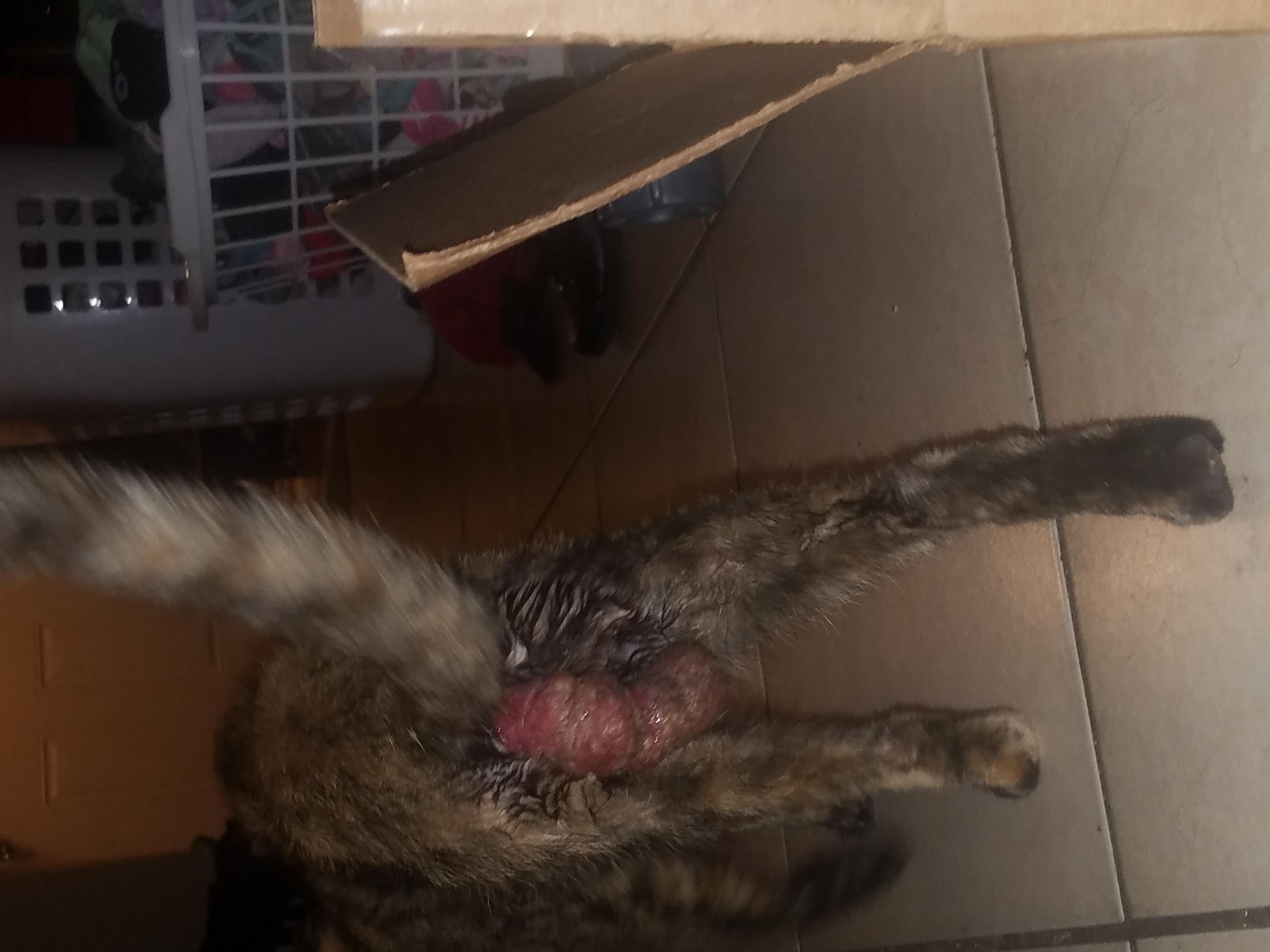 Question details sensitive content